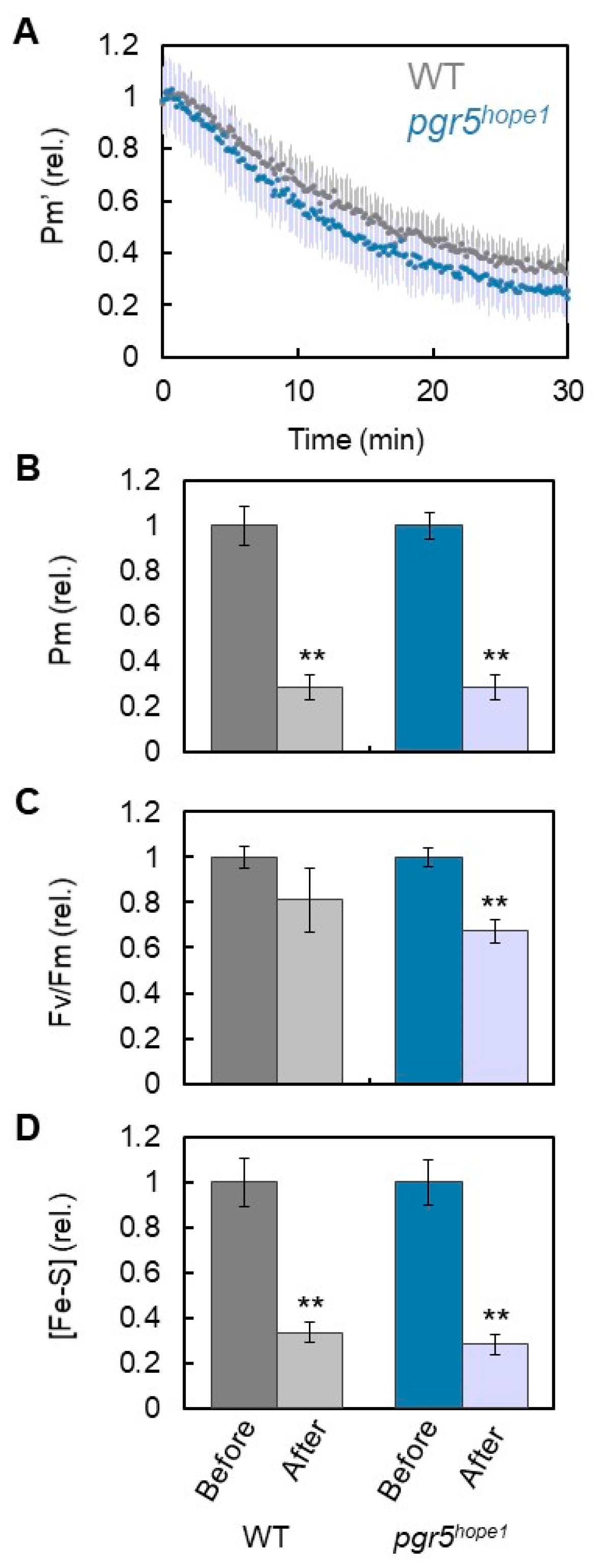 Antioxidants 12 00021 g002 Antioxidants 12 00021 g002