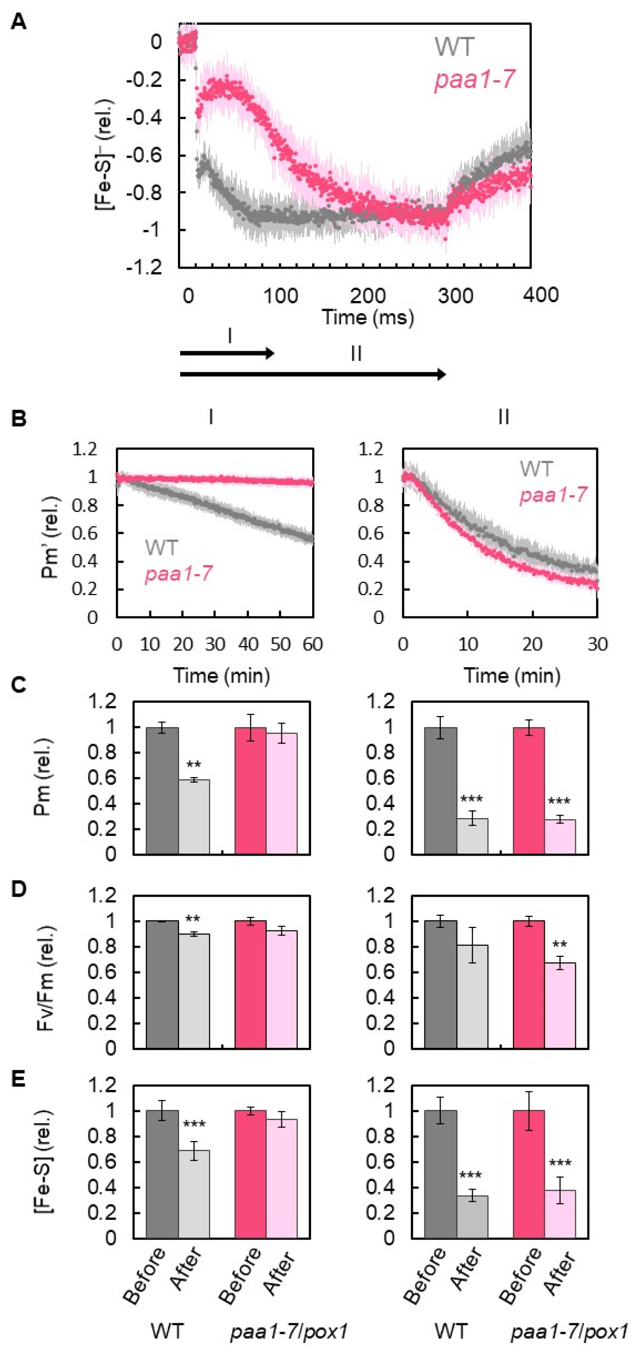 Antioxidants 12 00021 g003 Antioxidants 12 00021 g003