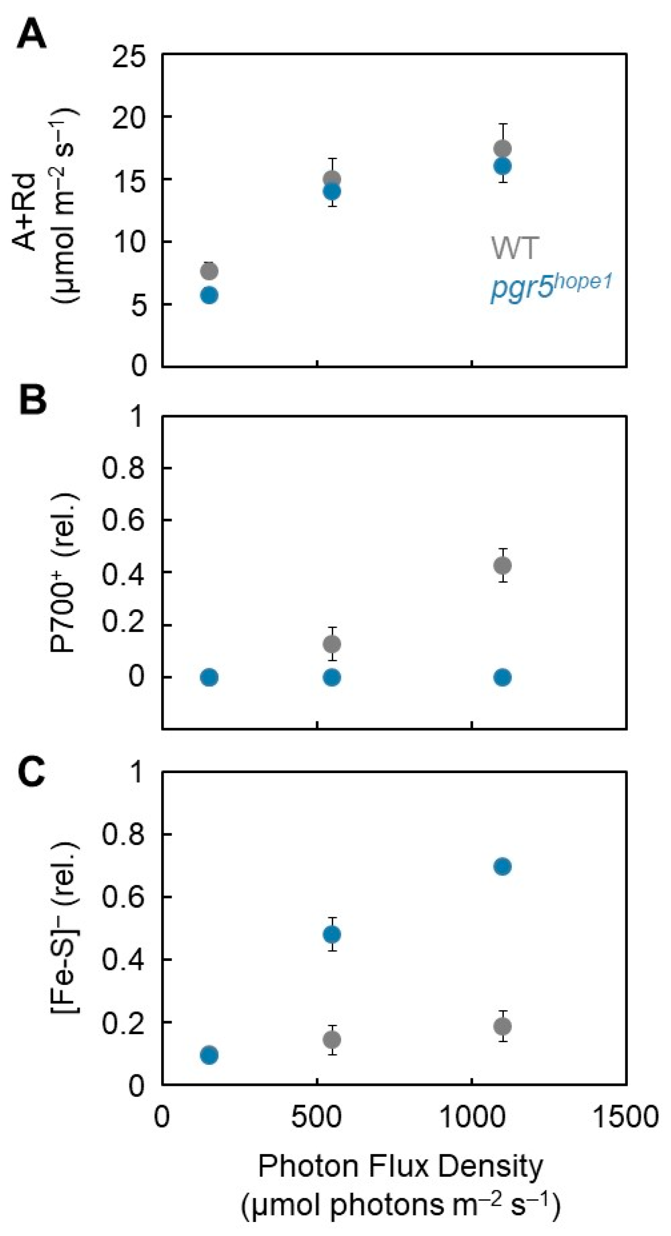Antioxidants 12 00021 g004 Antioxidants 12 00021 g004