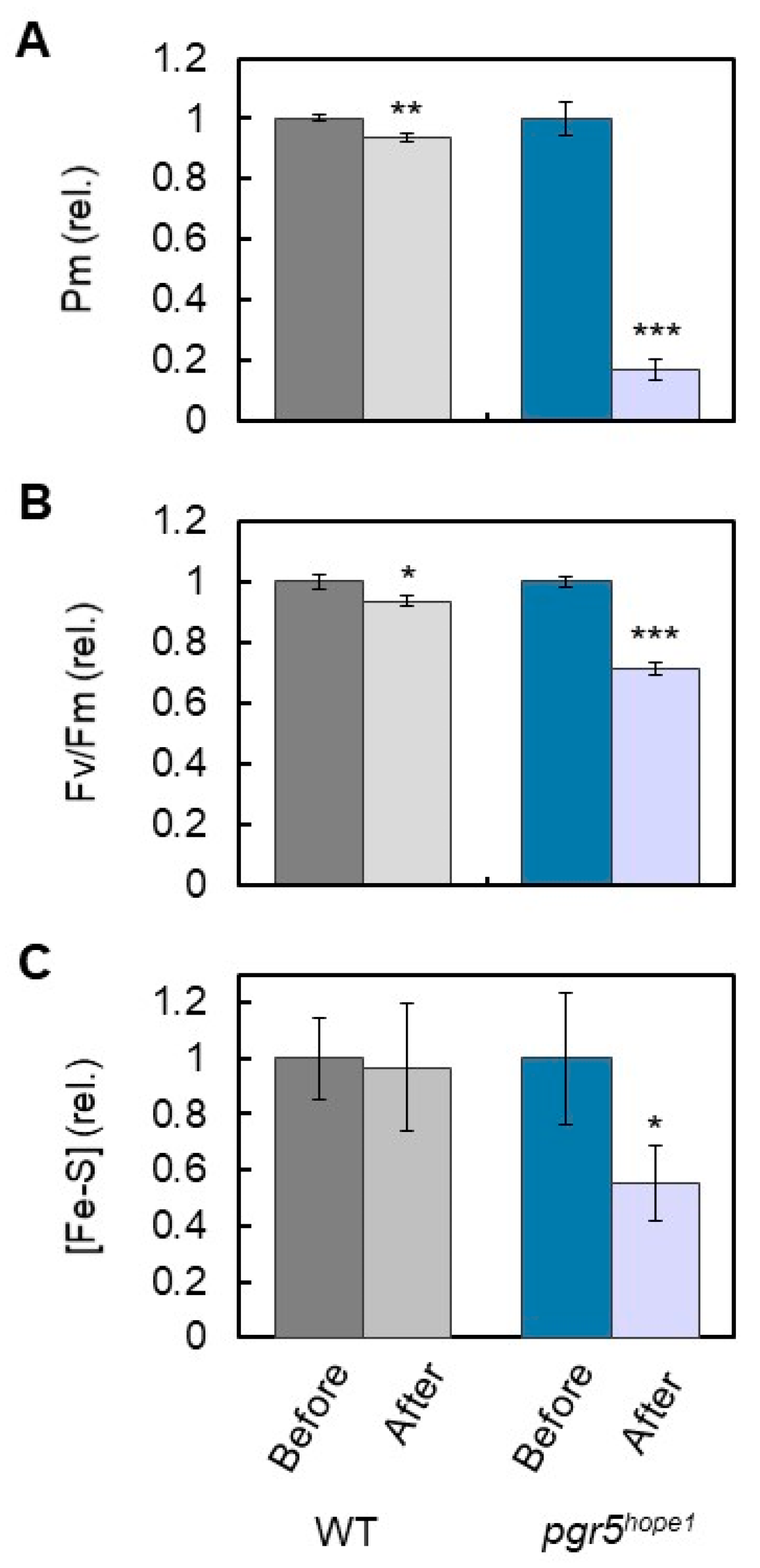Antioxidants 12 00021 g005 Antioxidants 12 00021 g005