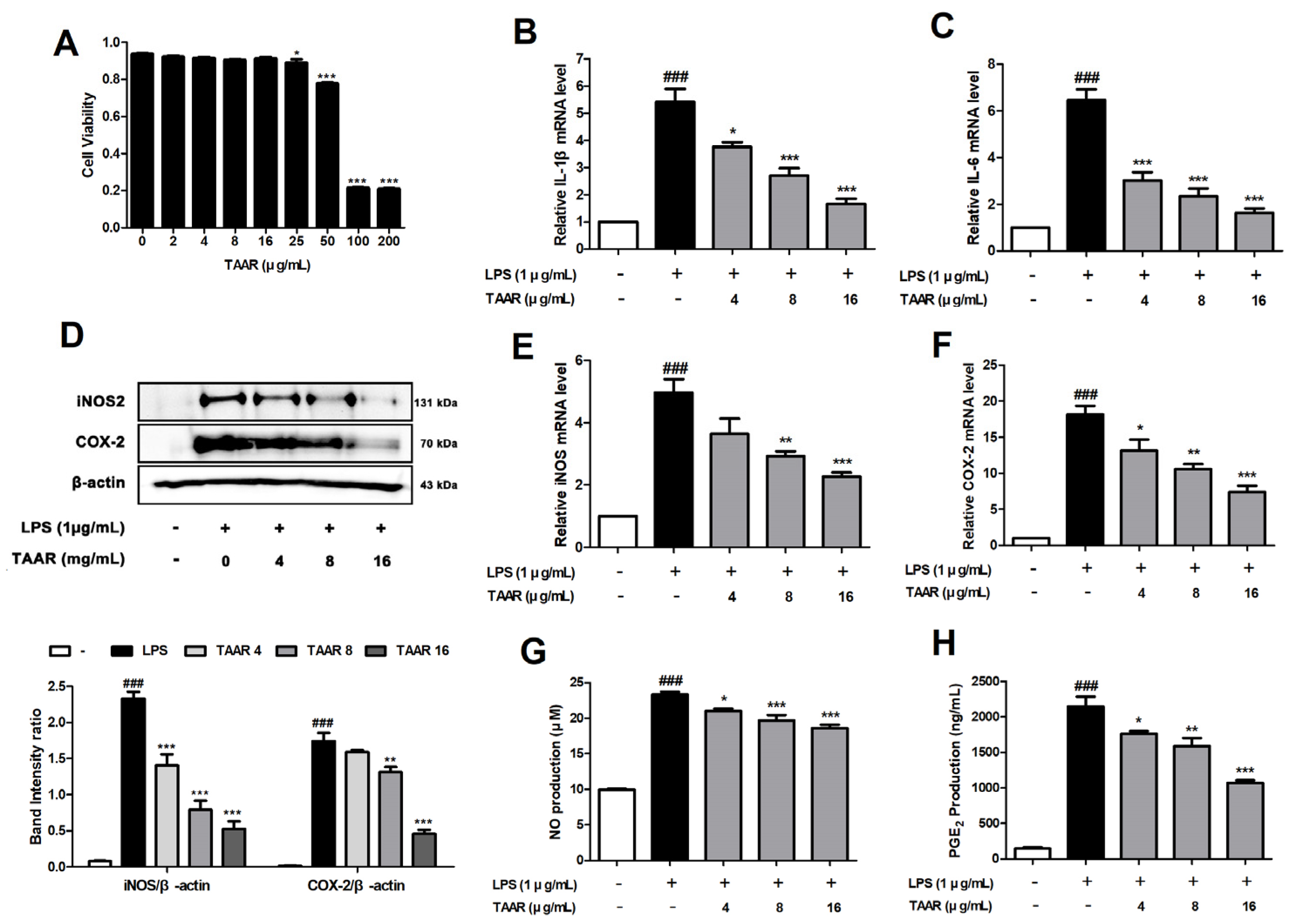 Antioxidants 12 00027 g002 Antioxidants 12 00027 g002