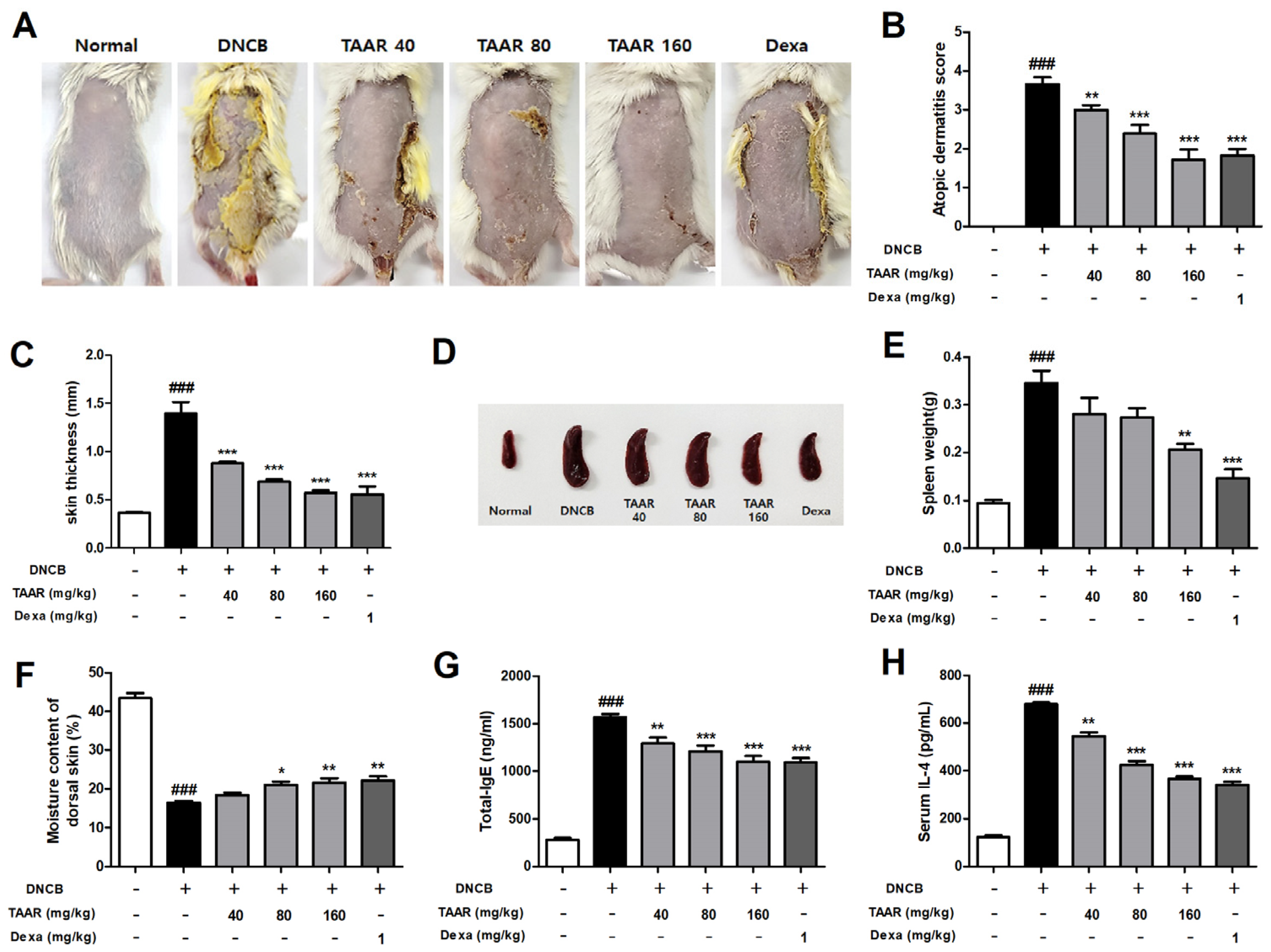 Antioxidants 12 00027 g006 Antioxidants 12 00027 g006