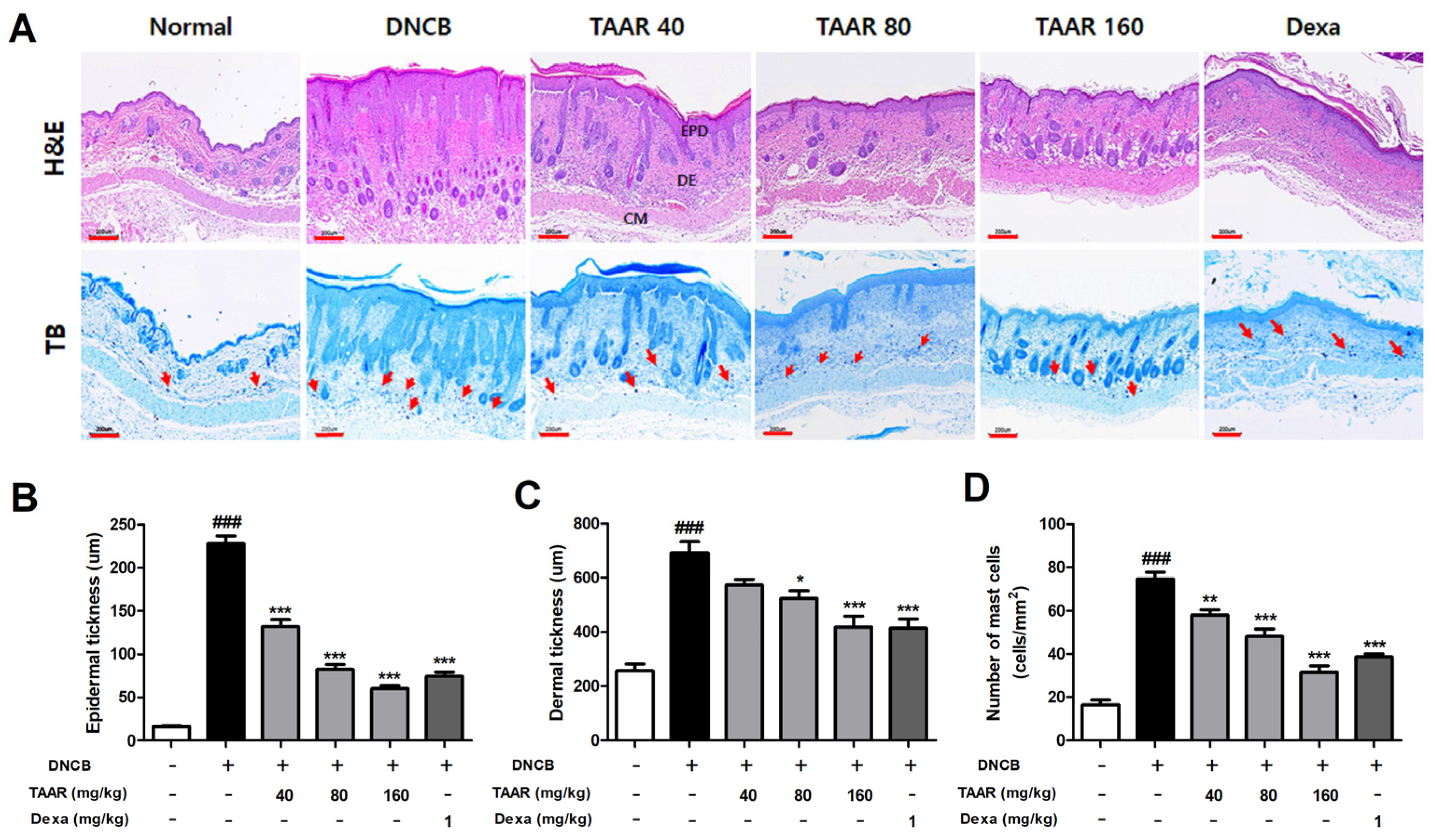 Antioxidants 12 00027 g007 Antioxidants 12 00027 g007