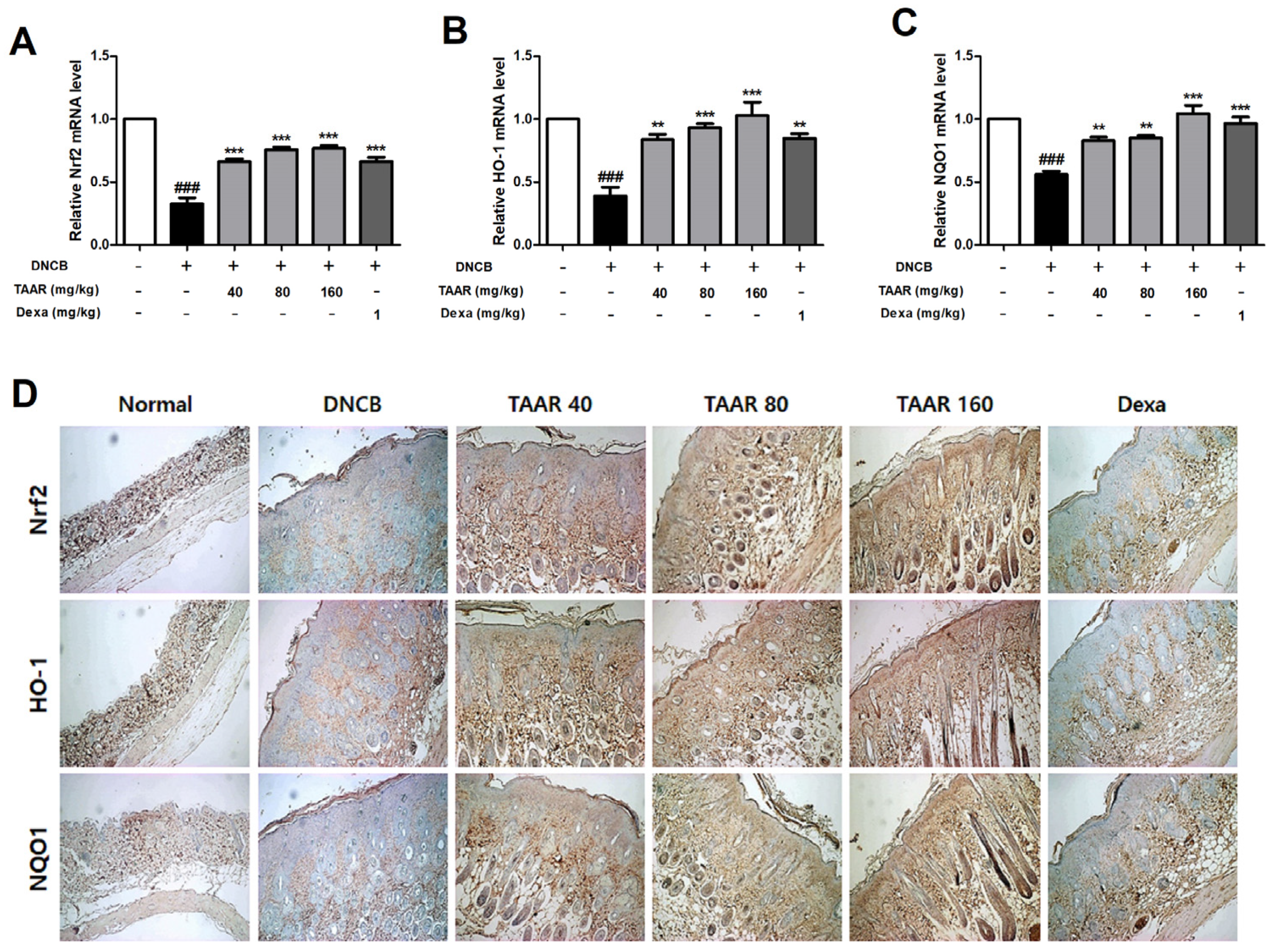 Antioxidants 12 00027 g009 Antioxidants 12 00027 g009