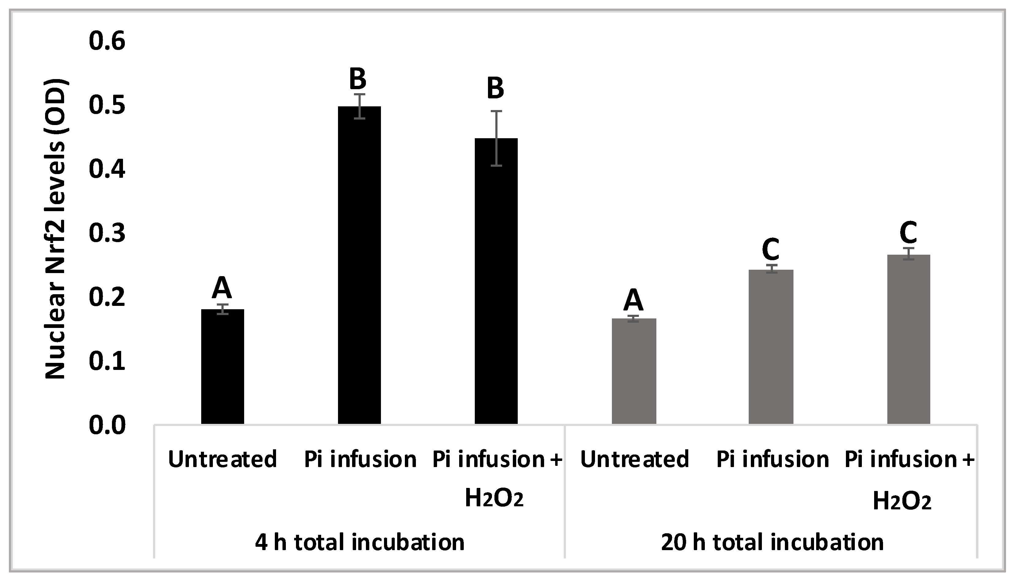 Antioxidants 12 00032 g006 Antioxidants 12 00032 g006