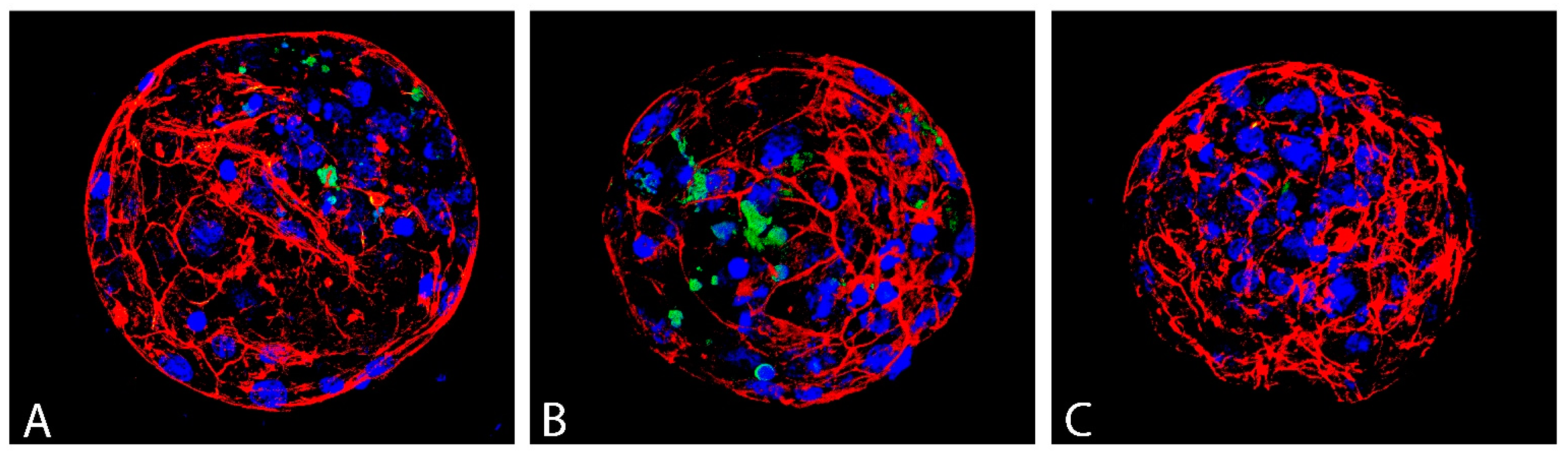 Antioxidants 12 00035 g007