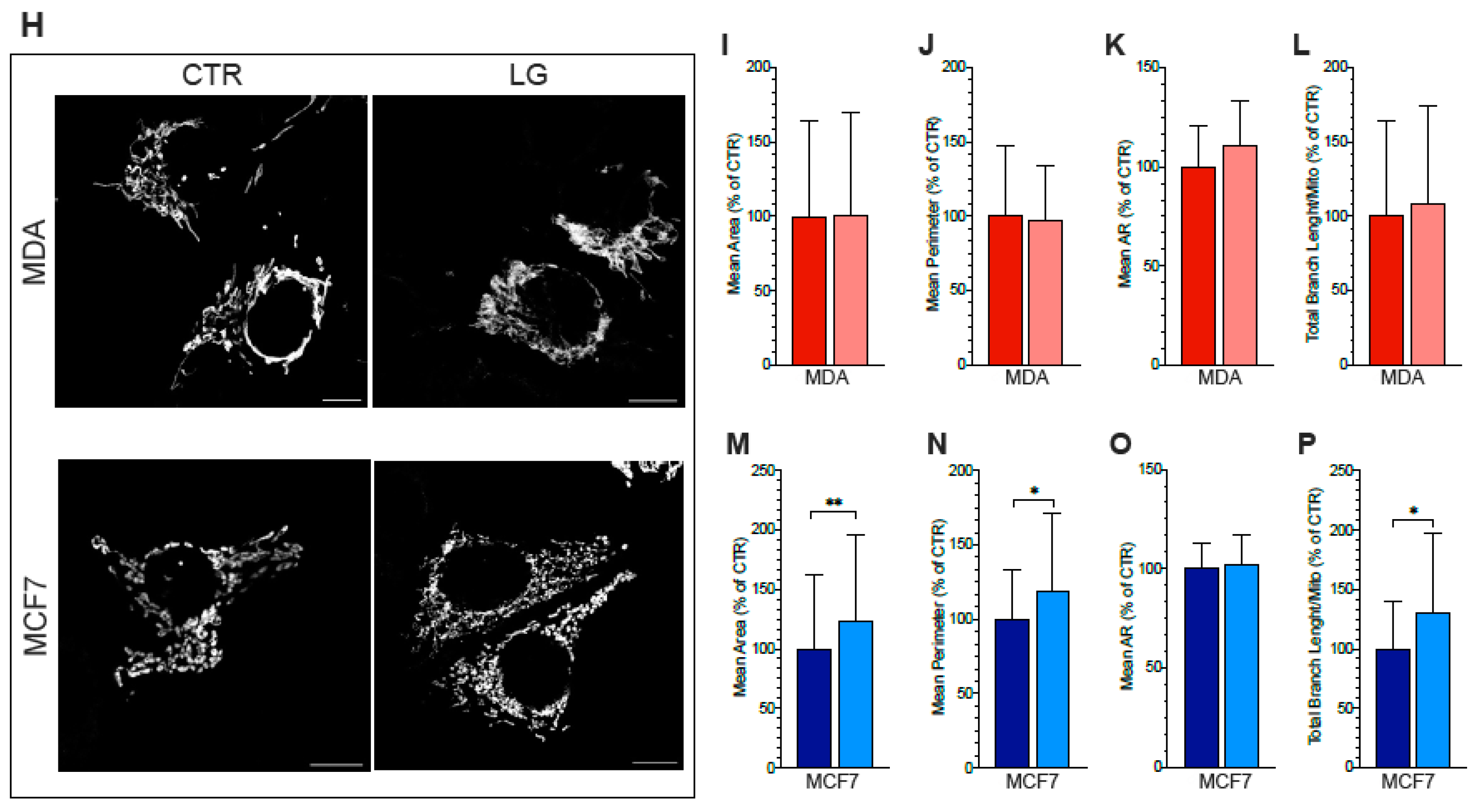 Antioxidants 12 00043 g004b