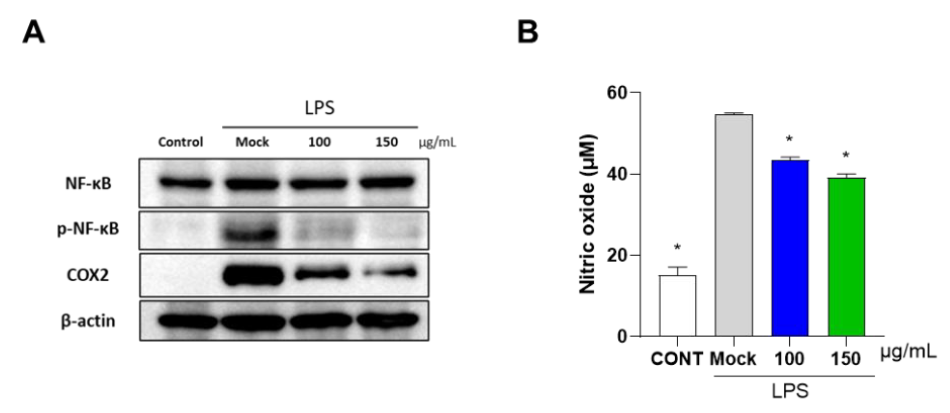 Antioxidants 12 00047 g003