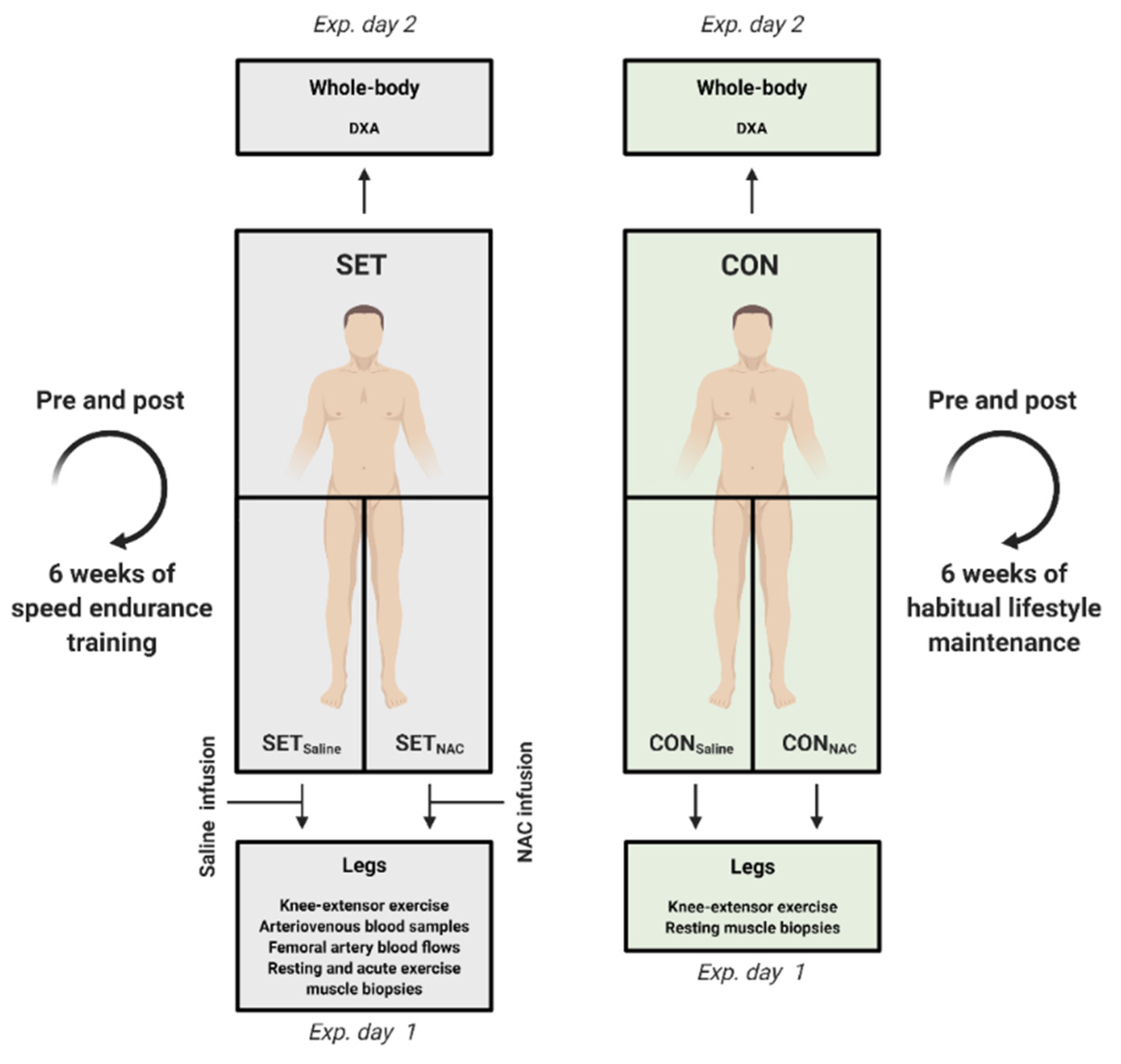Antioxidants 12 00053 g001 Antioxidants 12 00053 g001