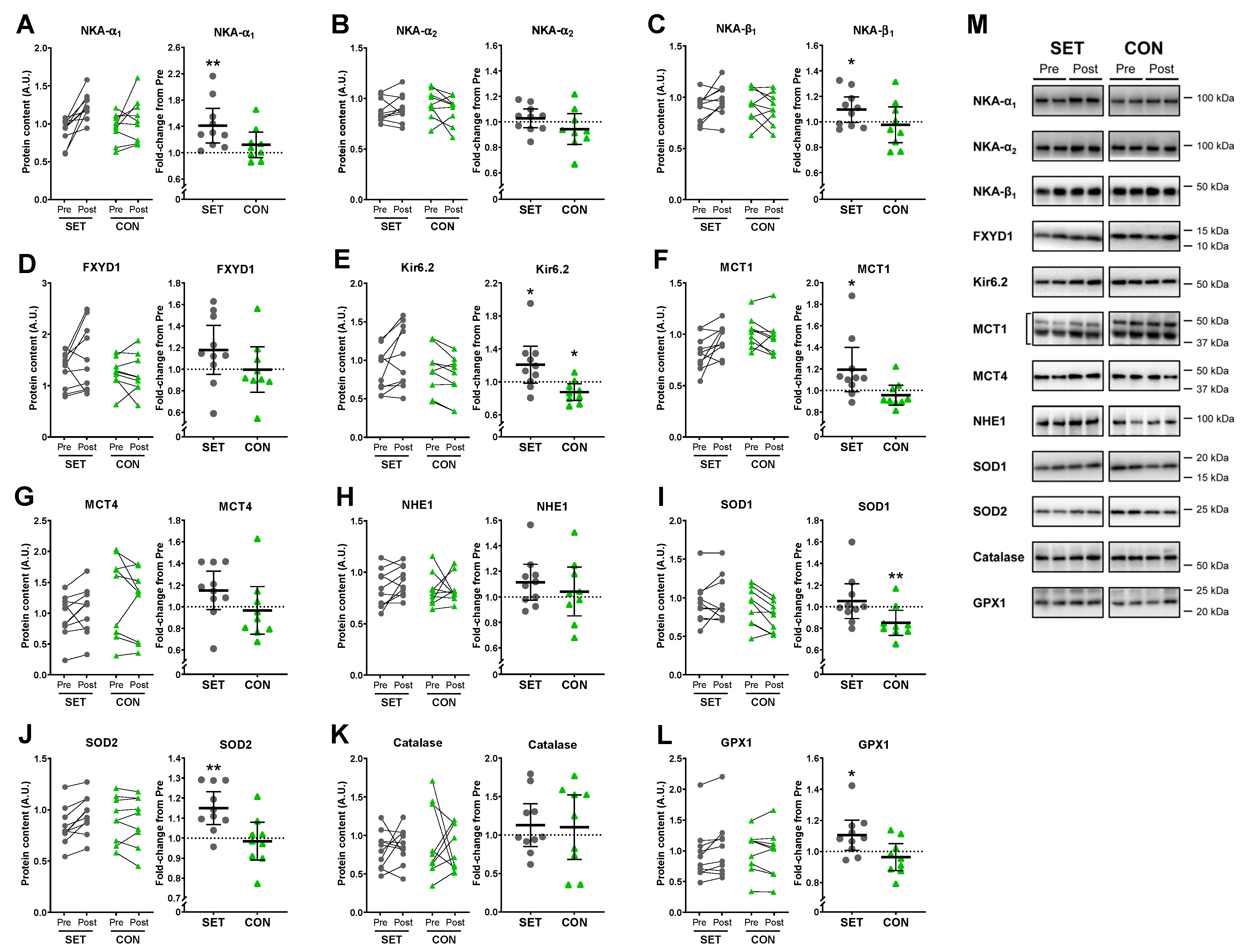 Antioxidants 12 00053 g010 Antioxidants 12 00053 g010