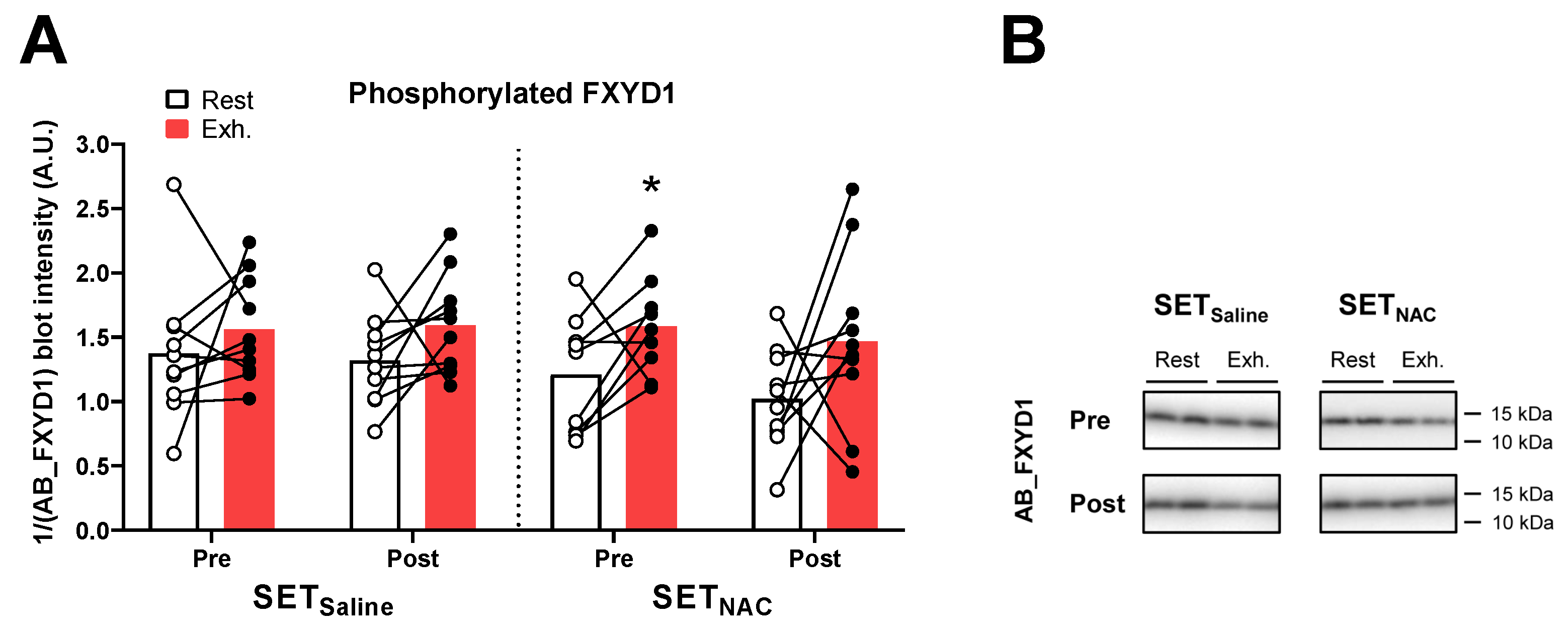 Antioxidants 12 00053 g011 Antioxidants 12 00053 g011