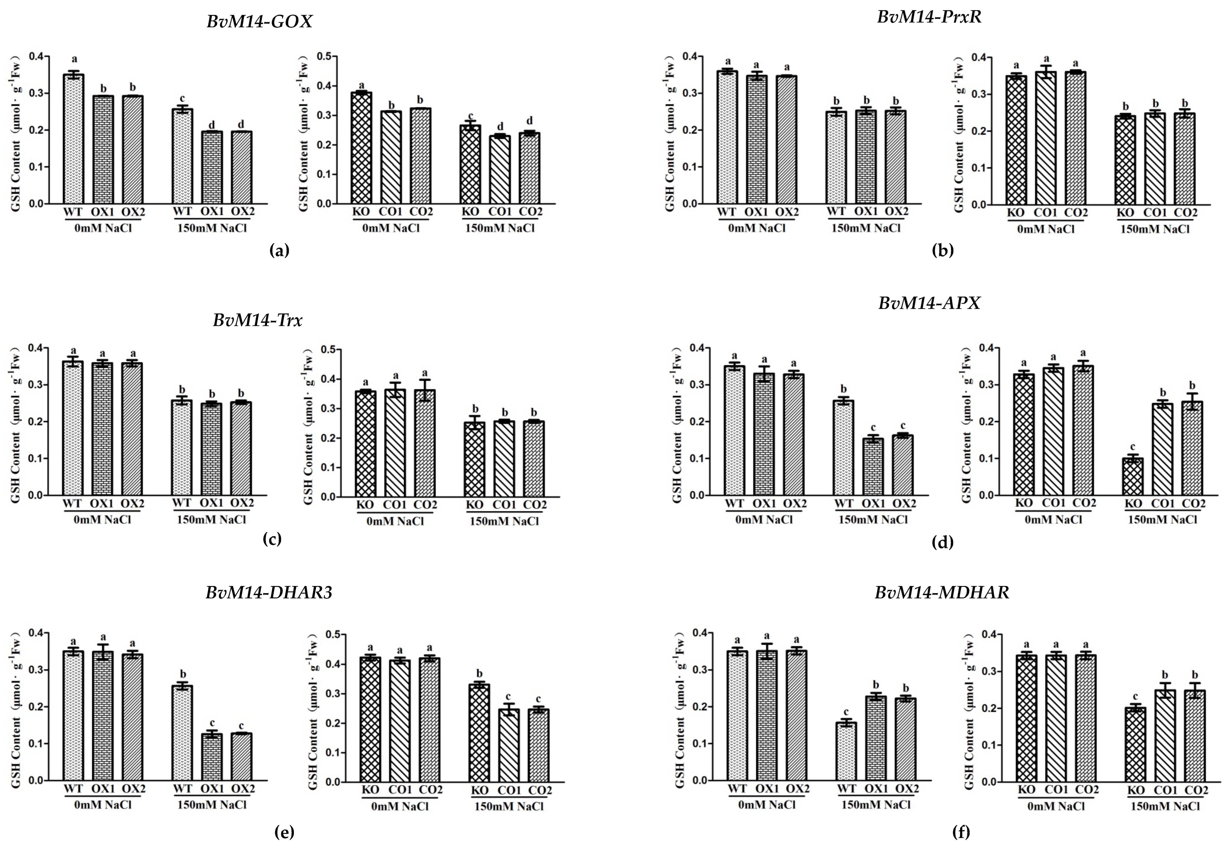 Antioxidants 12 00057 g004 Antioxidants 12 00057 g004