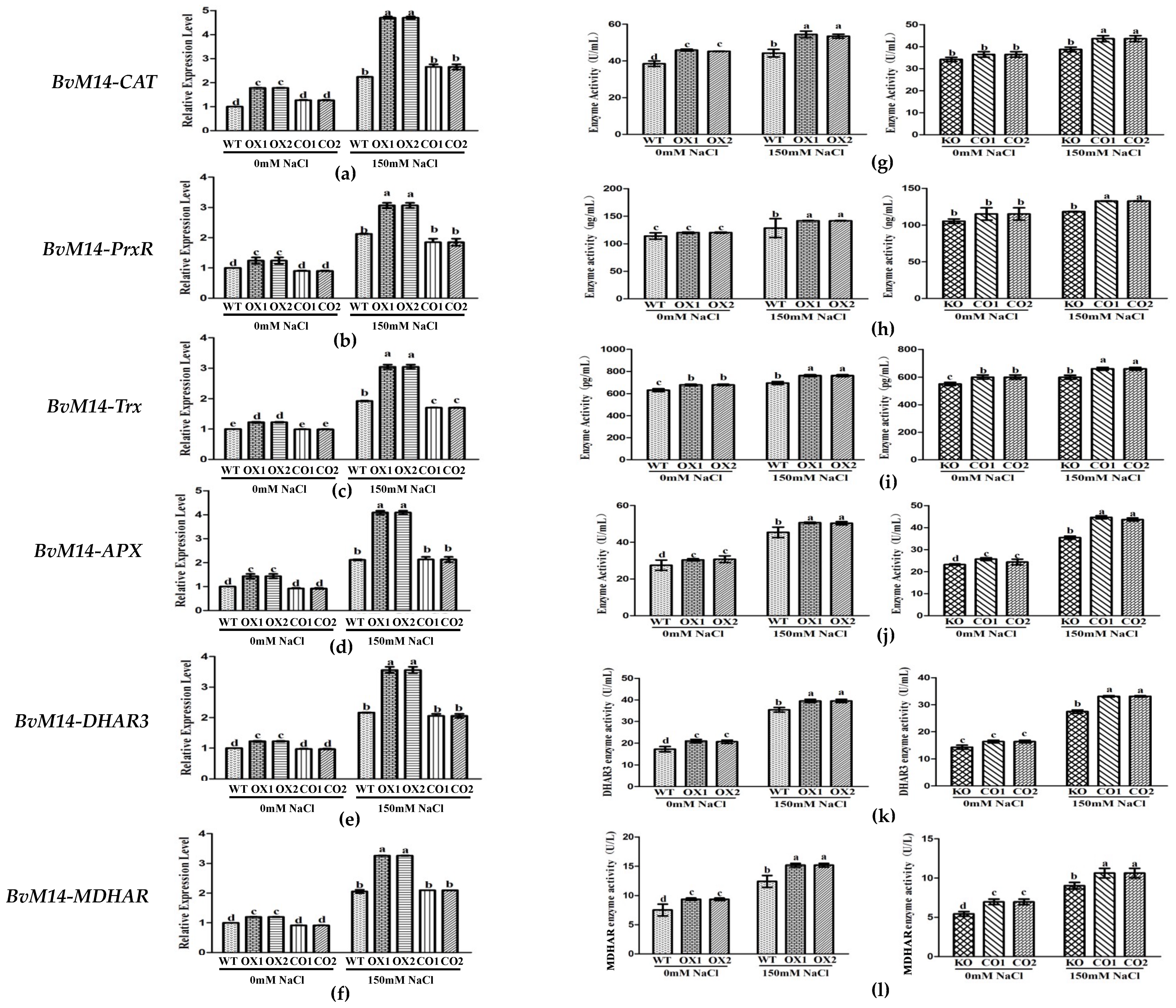 Antioxidants 12 00057 g005 Antioxidants 12 00057 g005