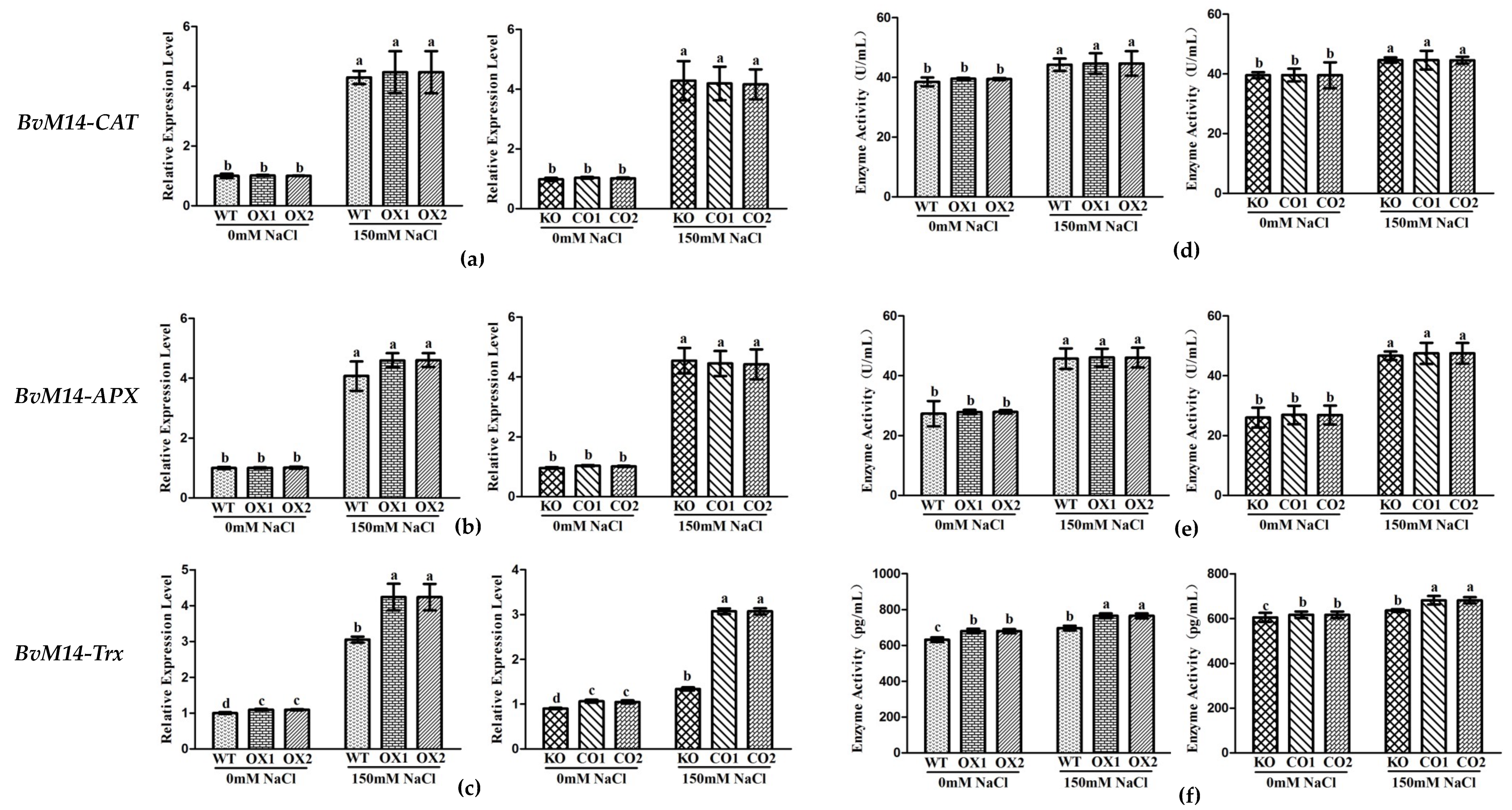 Antioxidants 12 00057 g006 Antioxidants 12 00057 g006