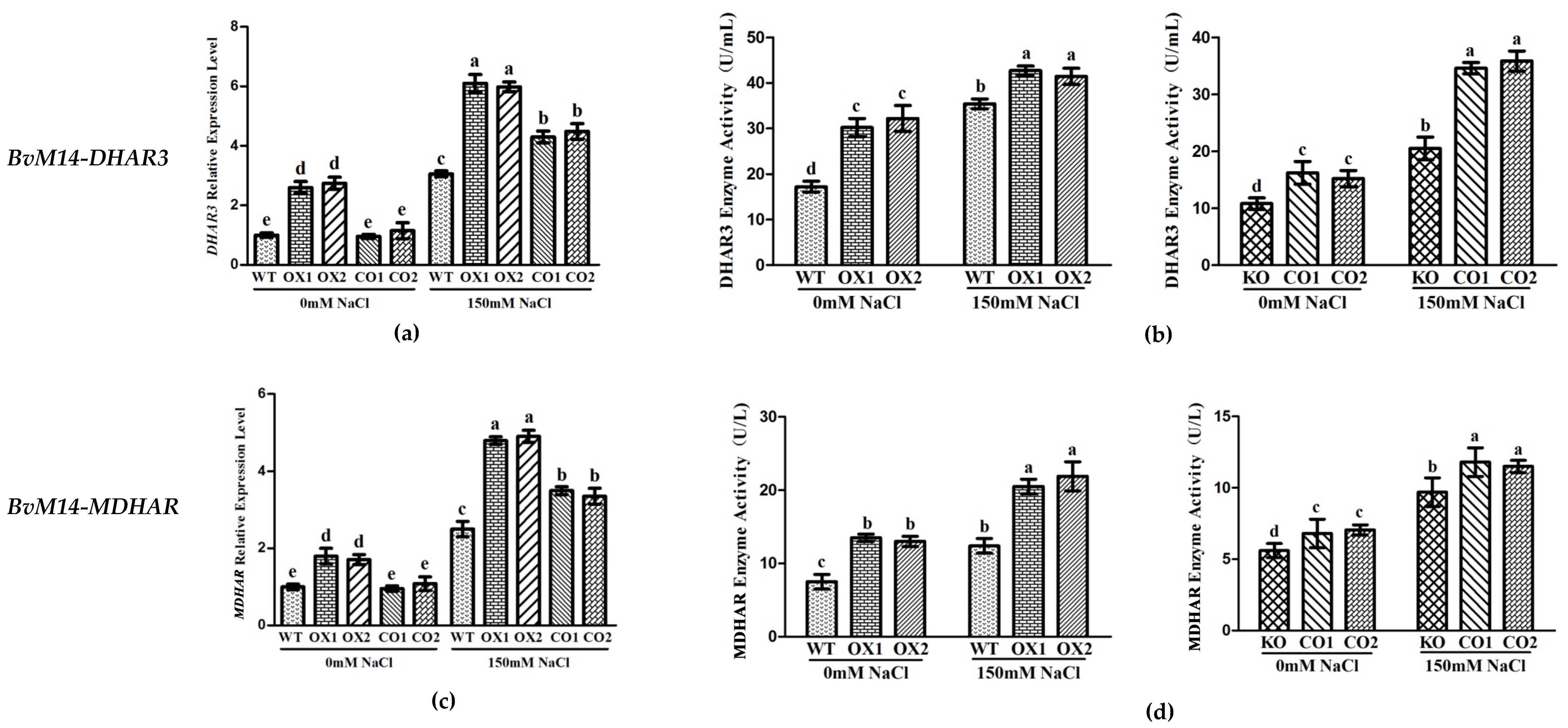 Antioxidants 12 00057 g007 Antioxidants 12 00057 g007