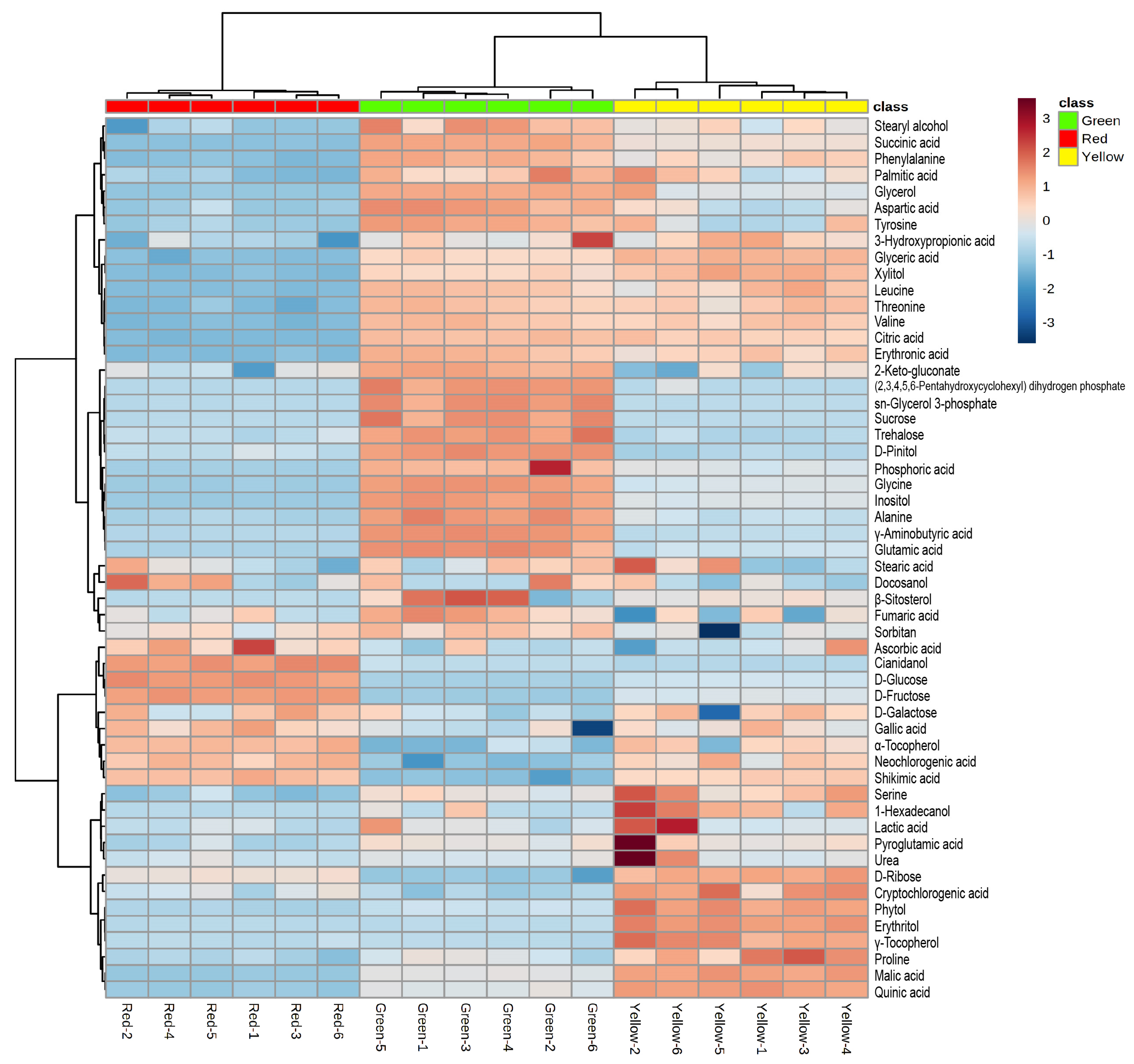 Antioxidants 12 00065 g005 Antioxidants 12 00065 g005