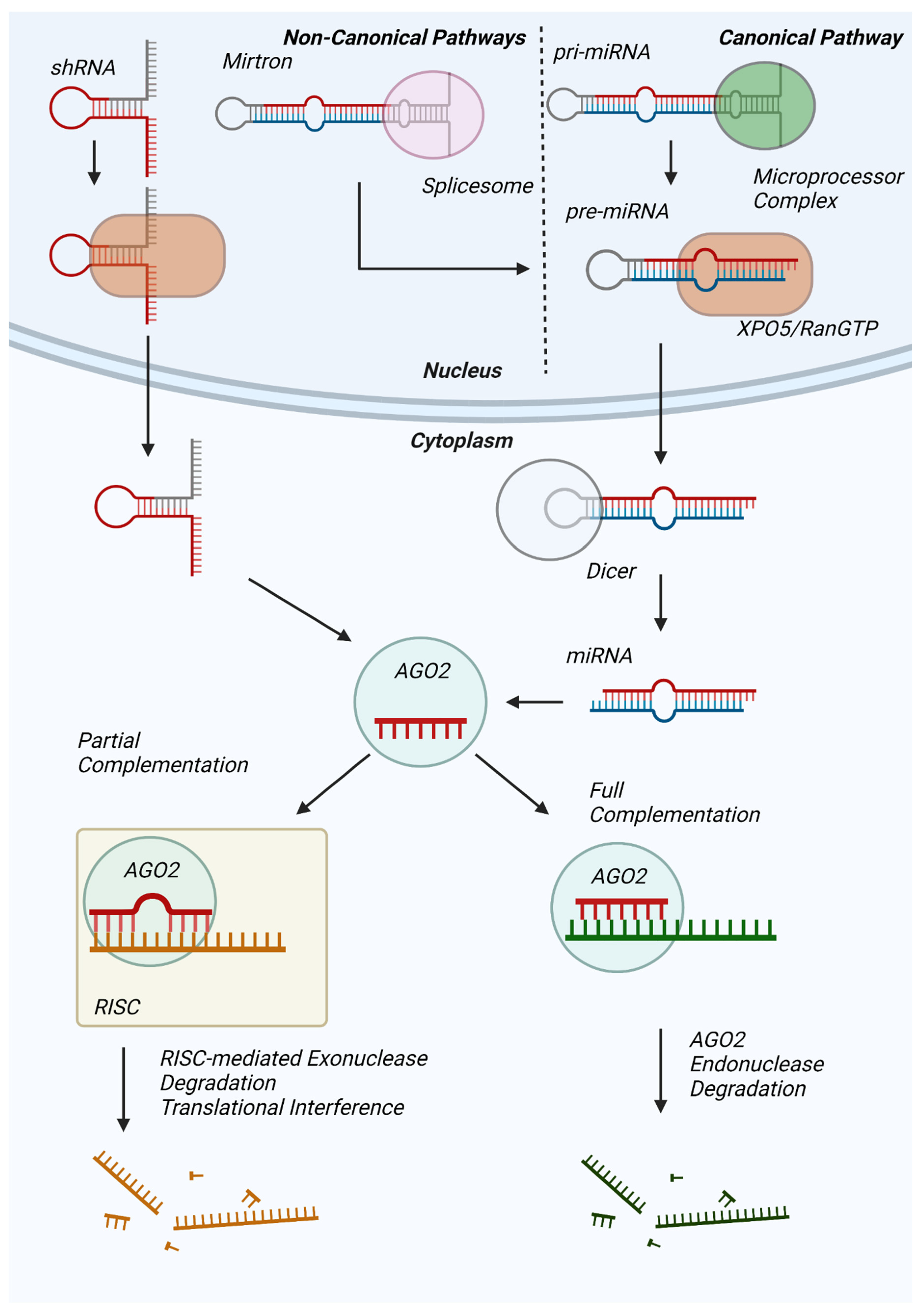 Antioxidants 12 00070 g001
