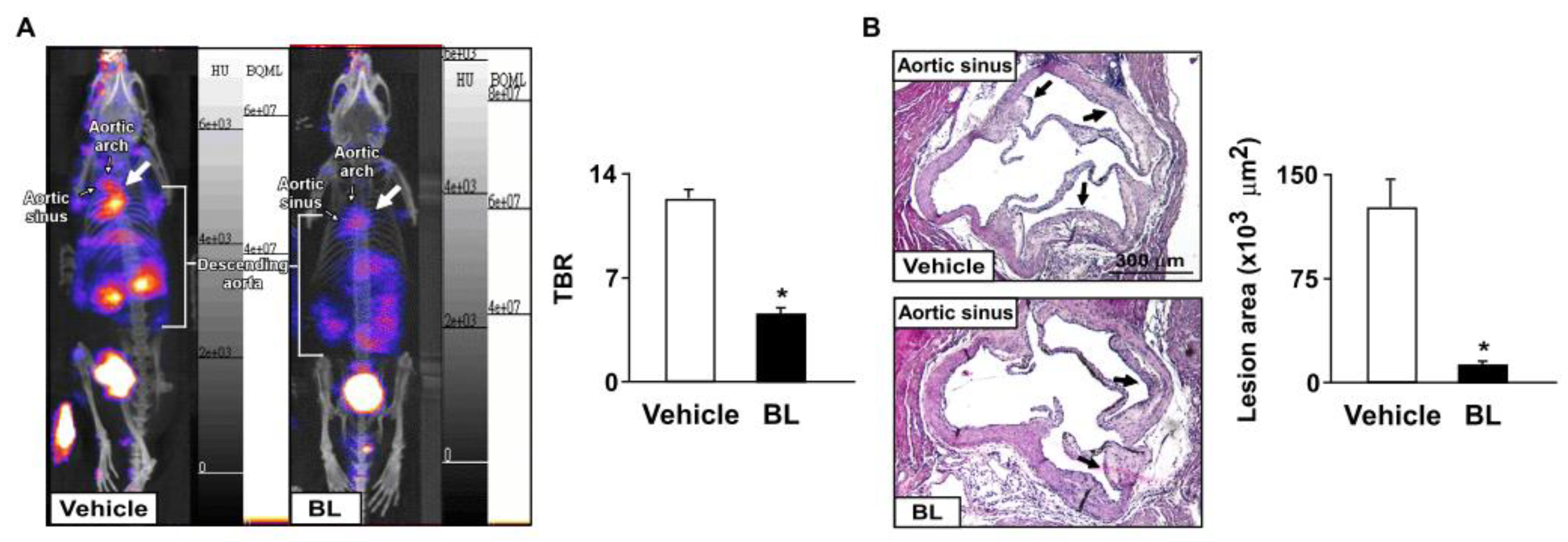 Antioxidants 12 00072 g003