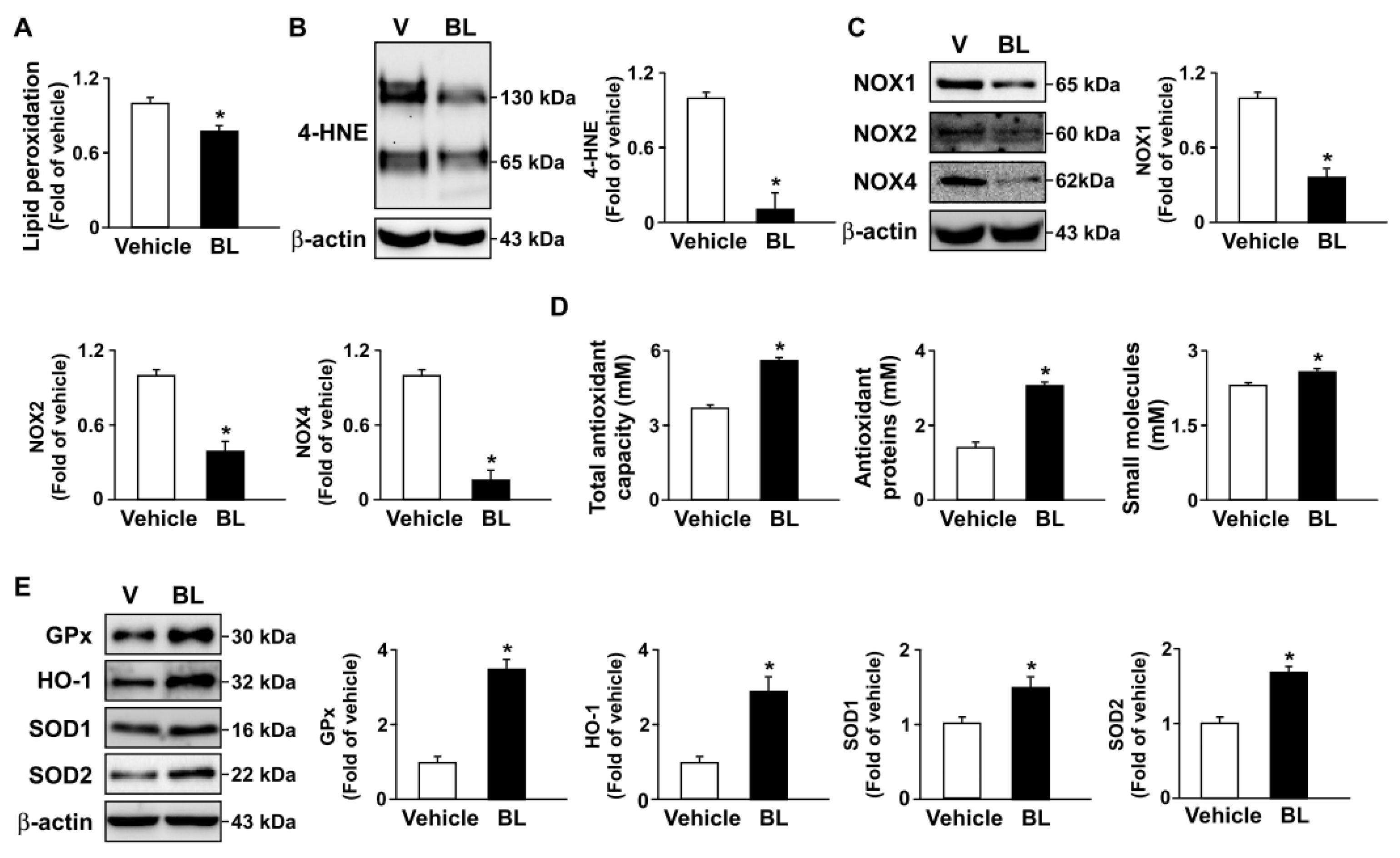 Antioxidants 12 00072 g006