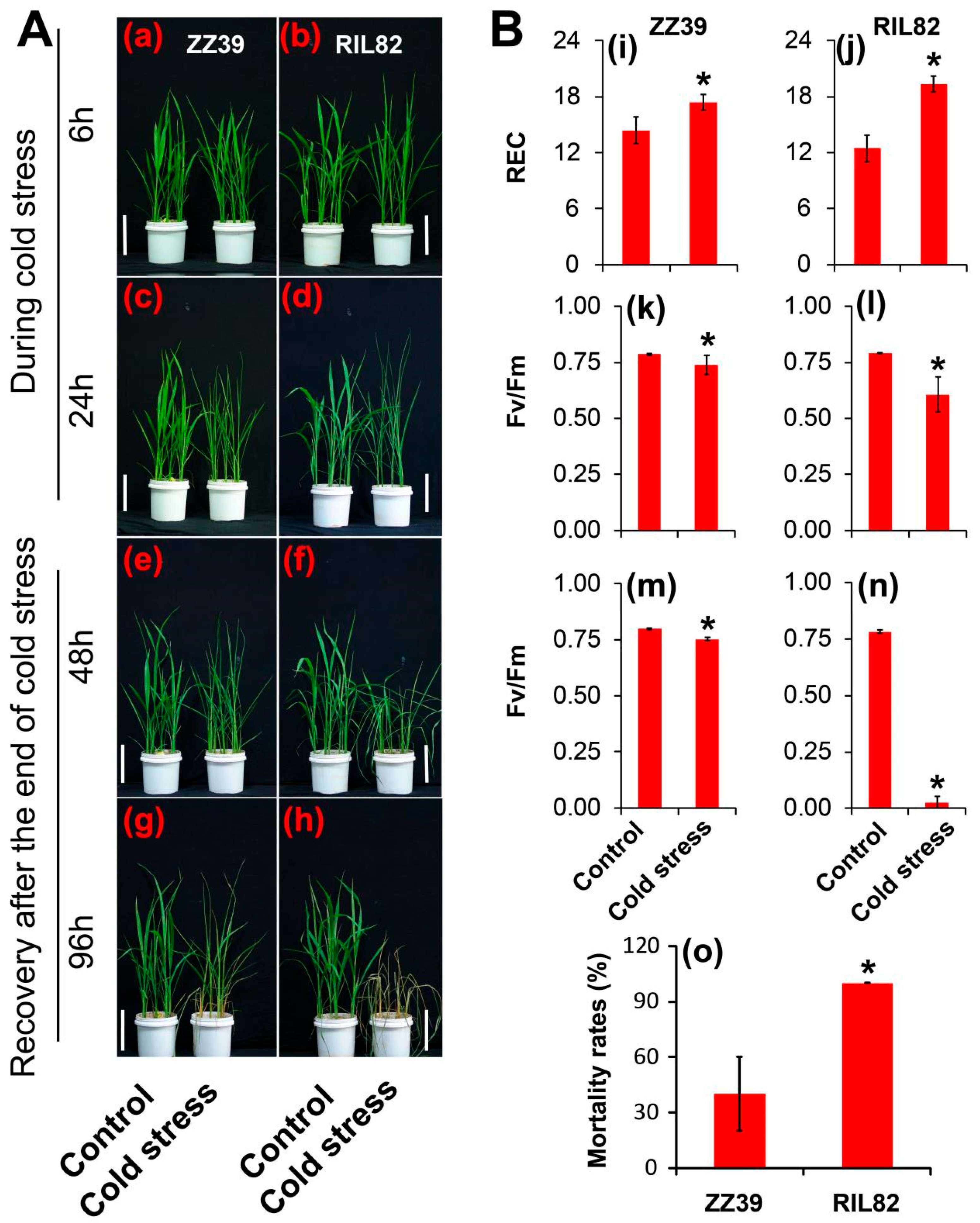 Antioxidants 12 00079 g001