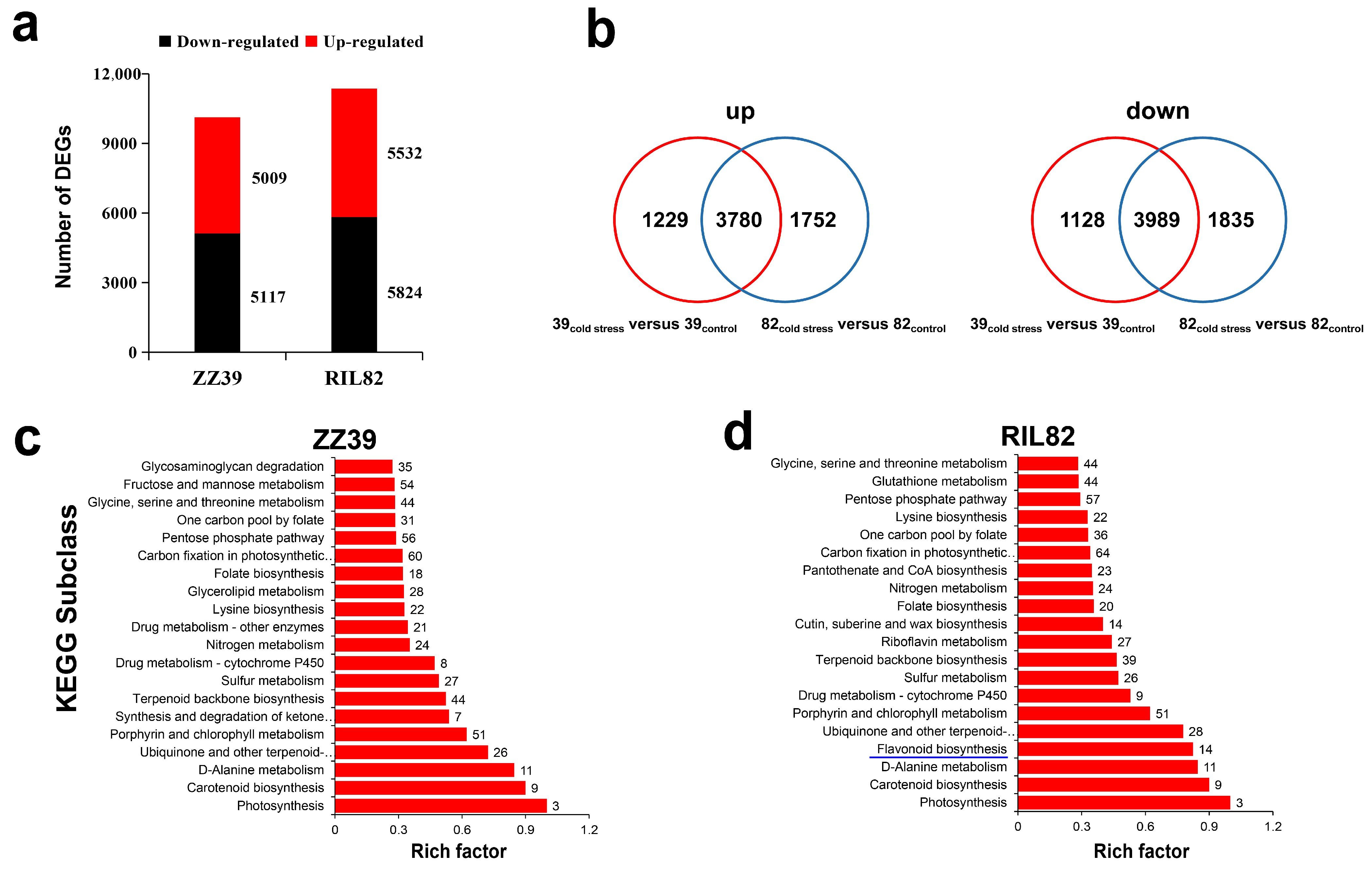 Antioxidants 12 00079 g002