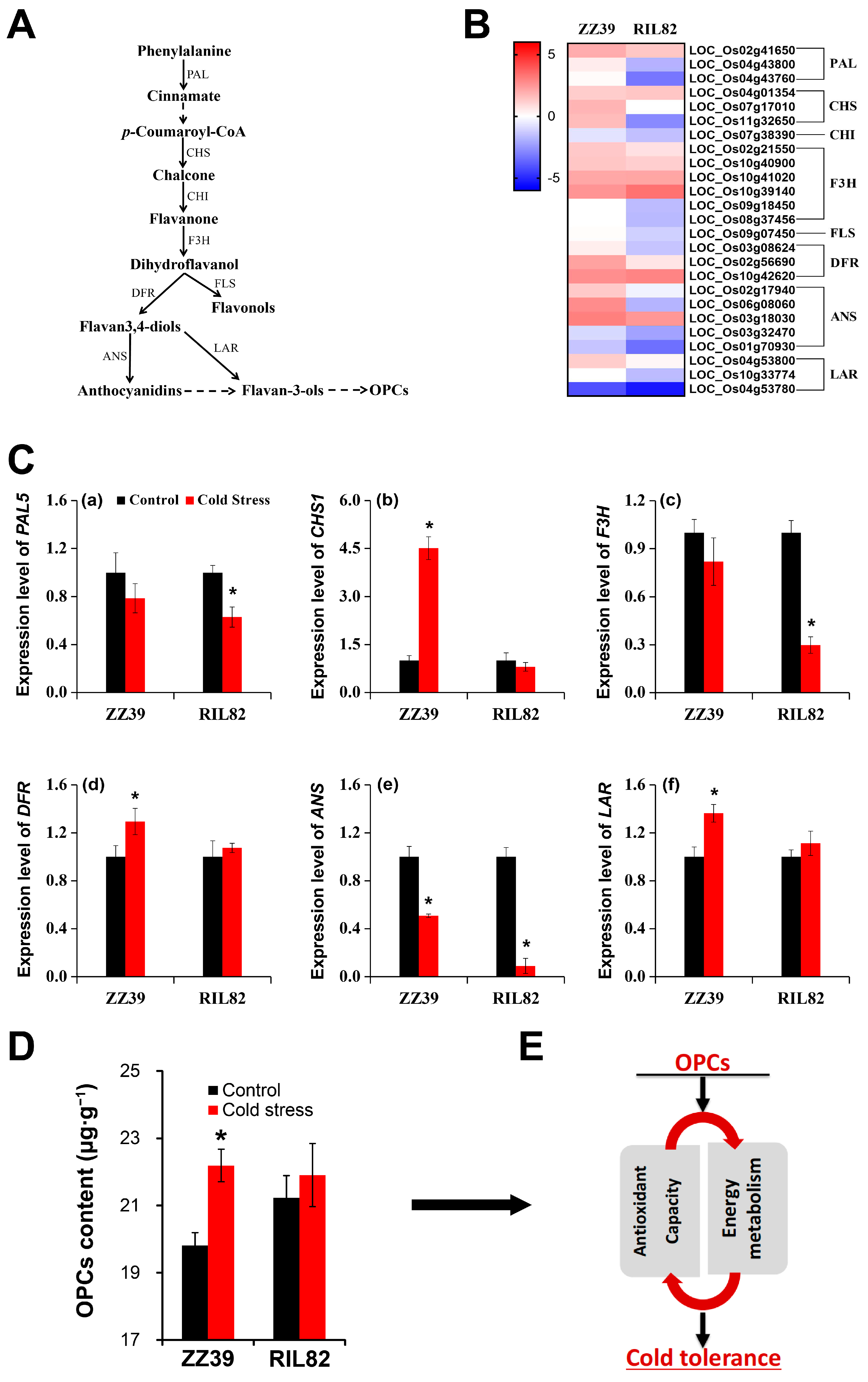 Antioxidants 12 00079 g003