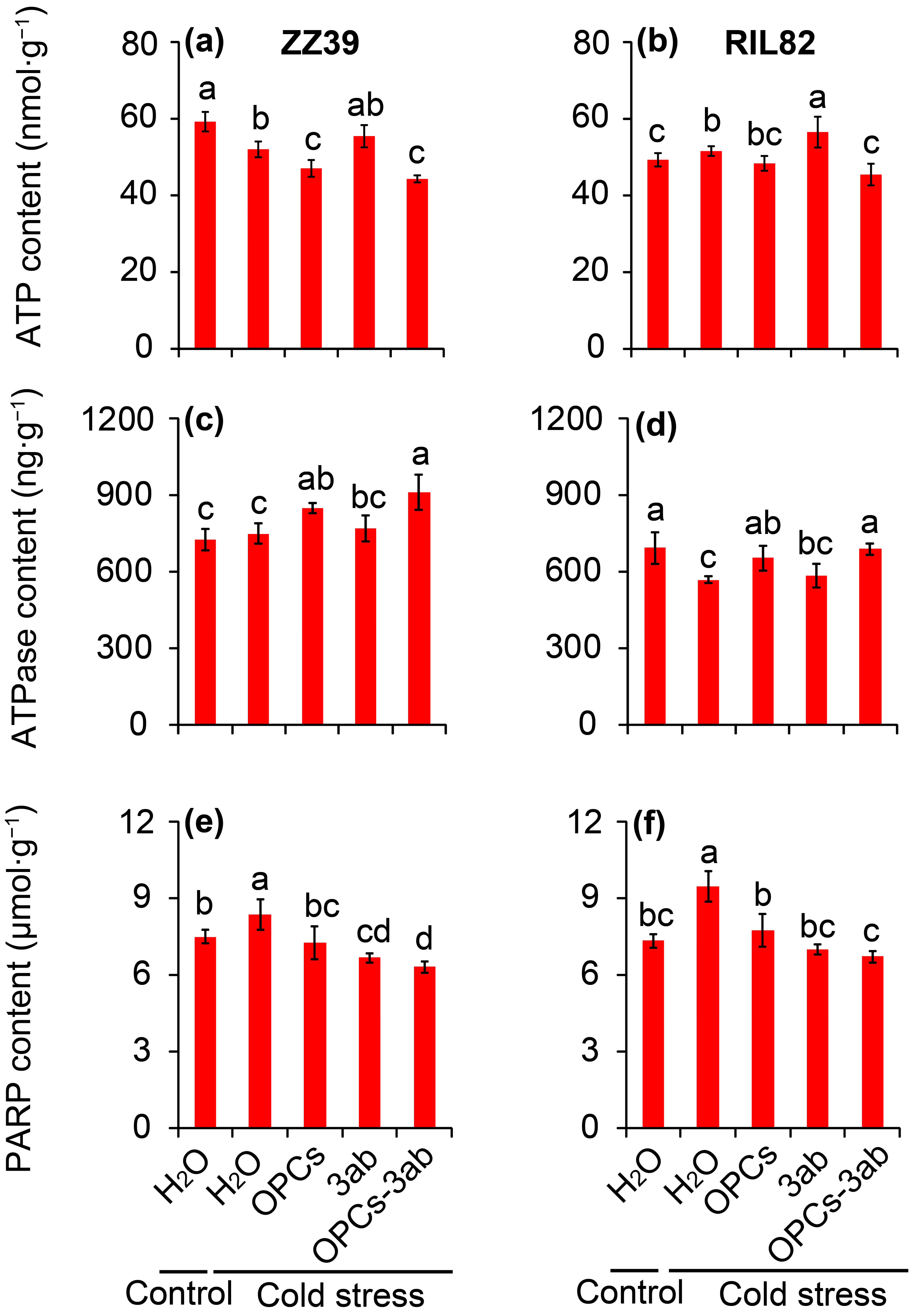 Antioxidants 12 00079 g008