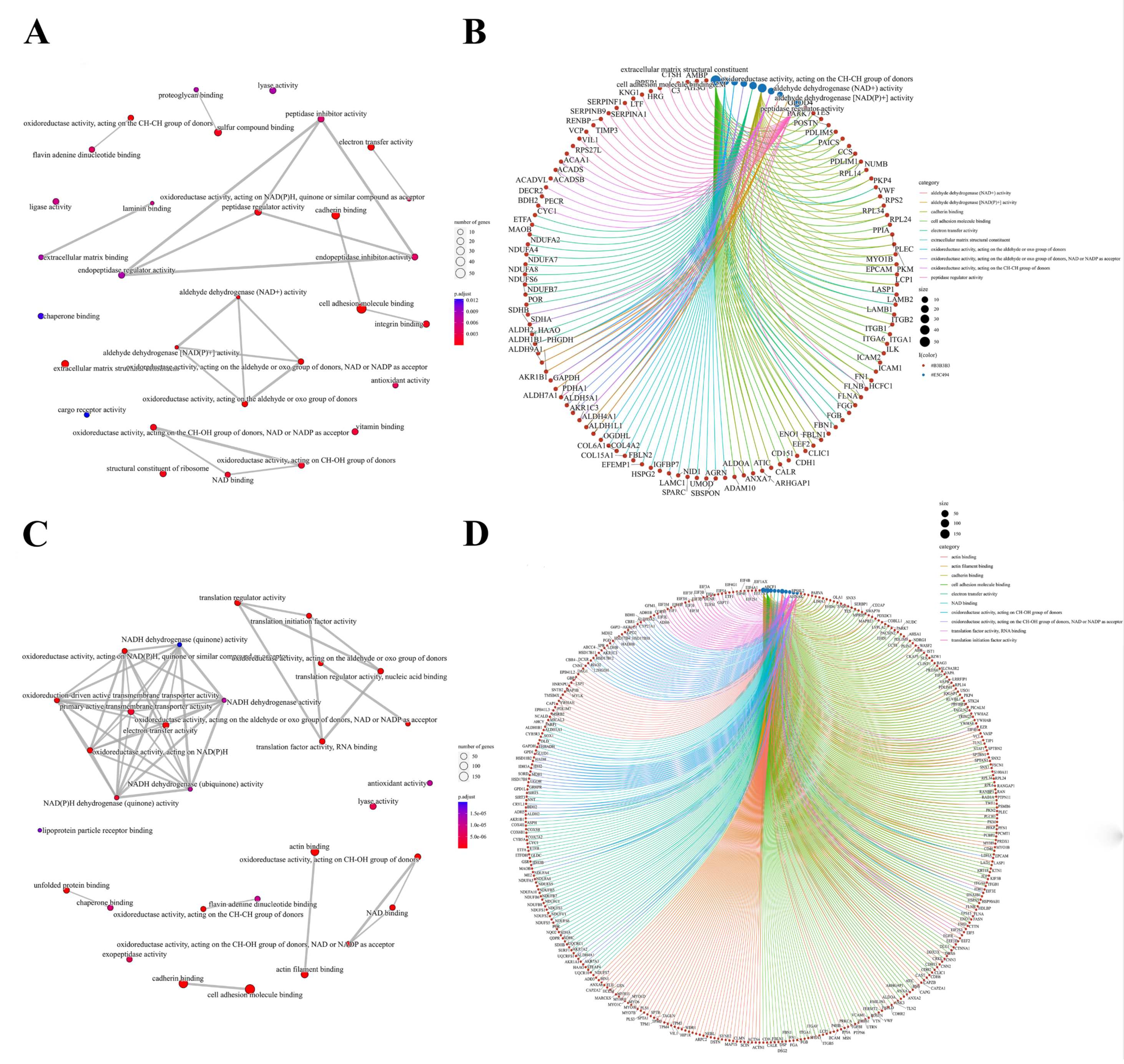 Antioxidants 12 00081 g004 Antioxidants 12 00081 g004