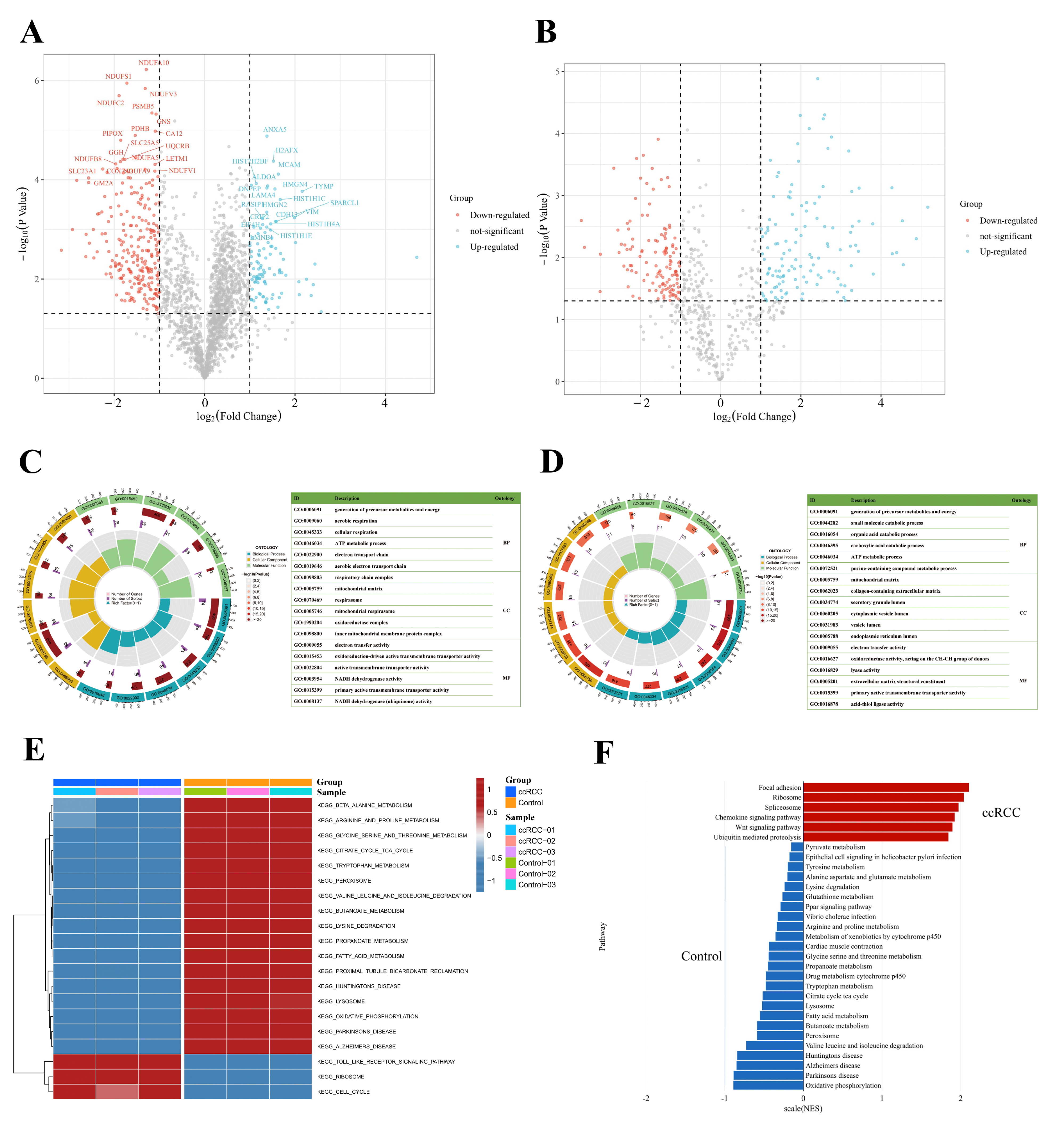 Antioxidants 12 00081 g005 Antioxidants 12 00081 g005