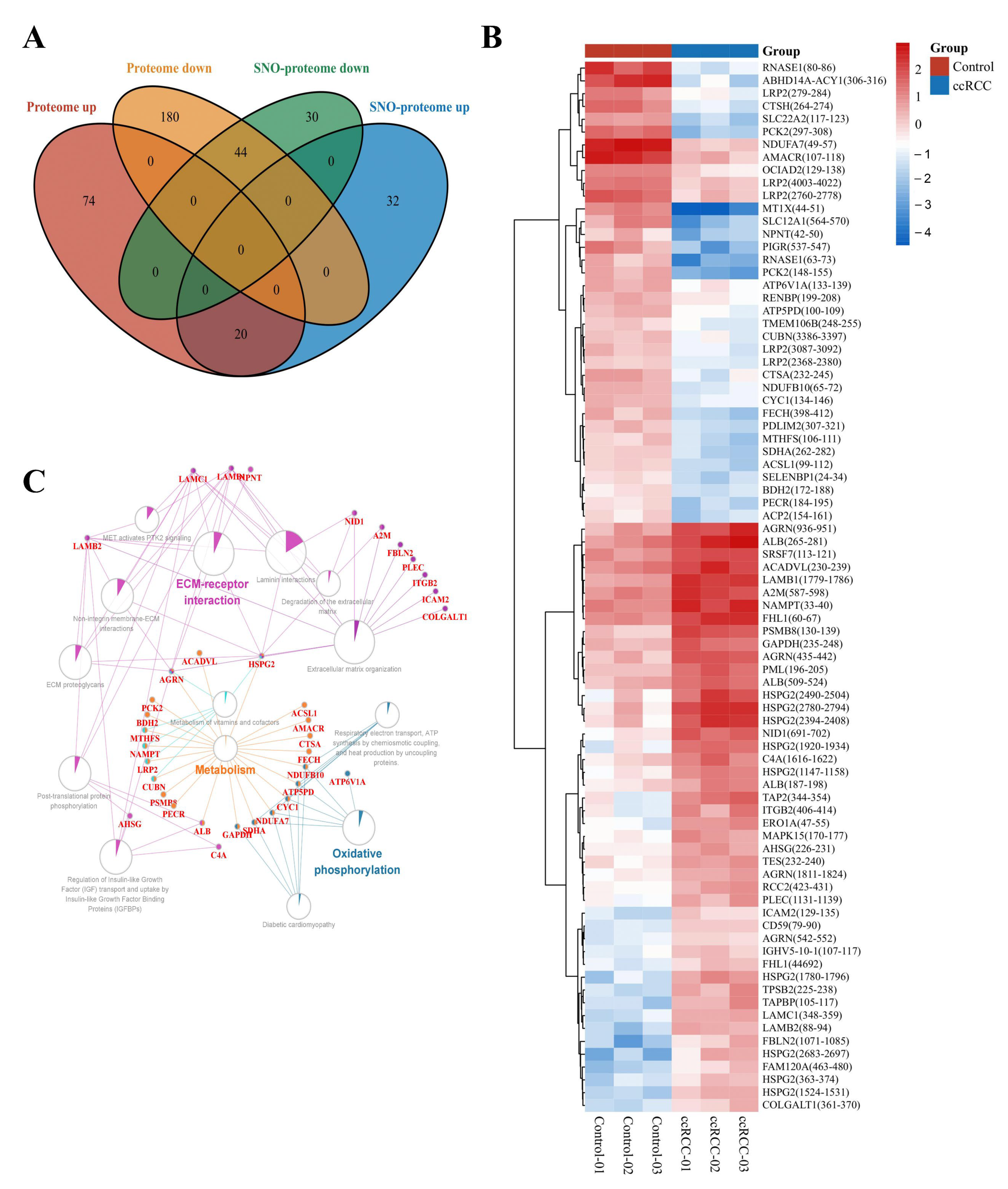 Antioxidants 12 00081 g006 Antioxidants 12 00081 g006