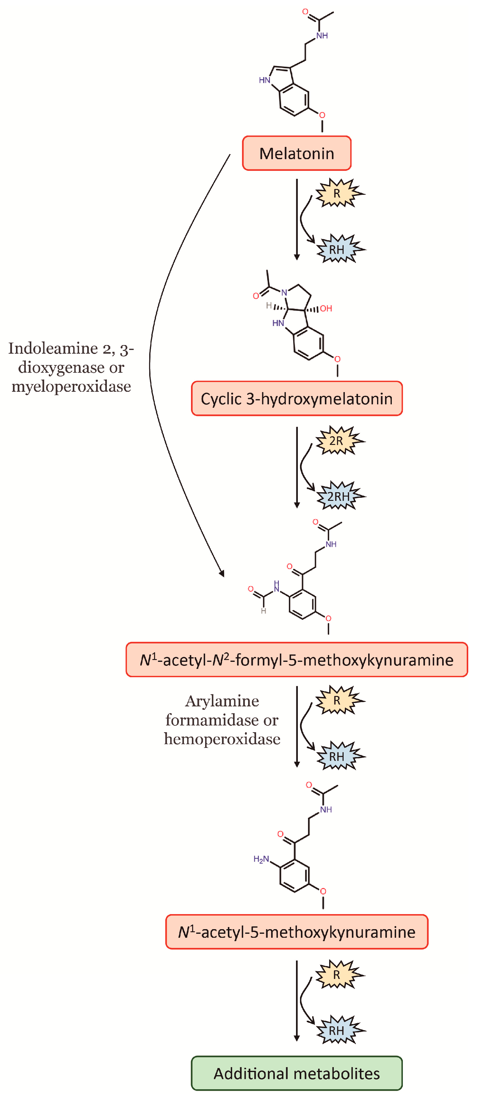Antioxidants 12 00086 g001
