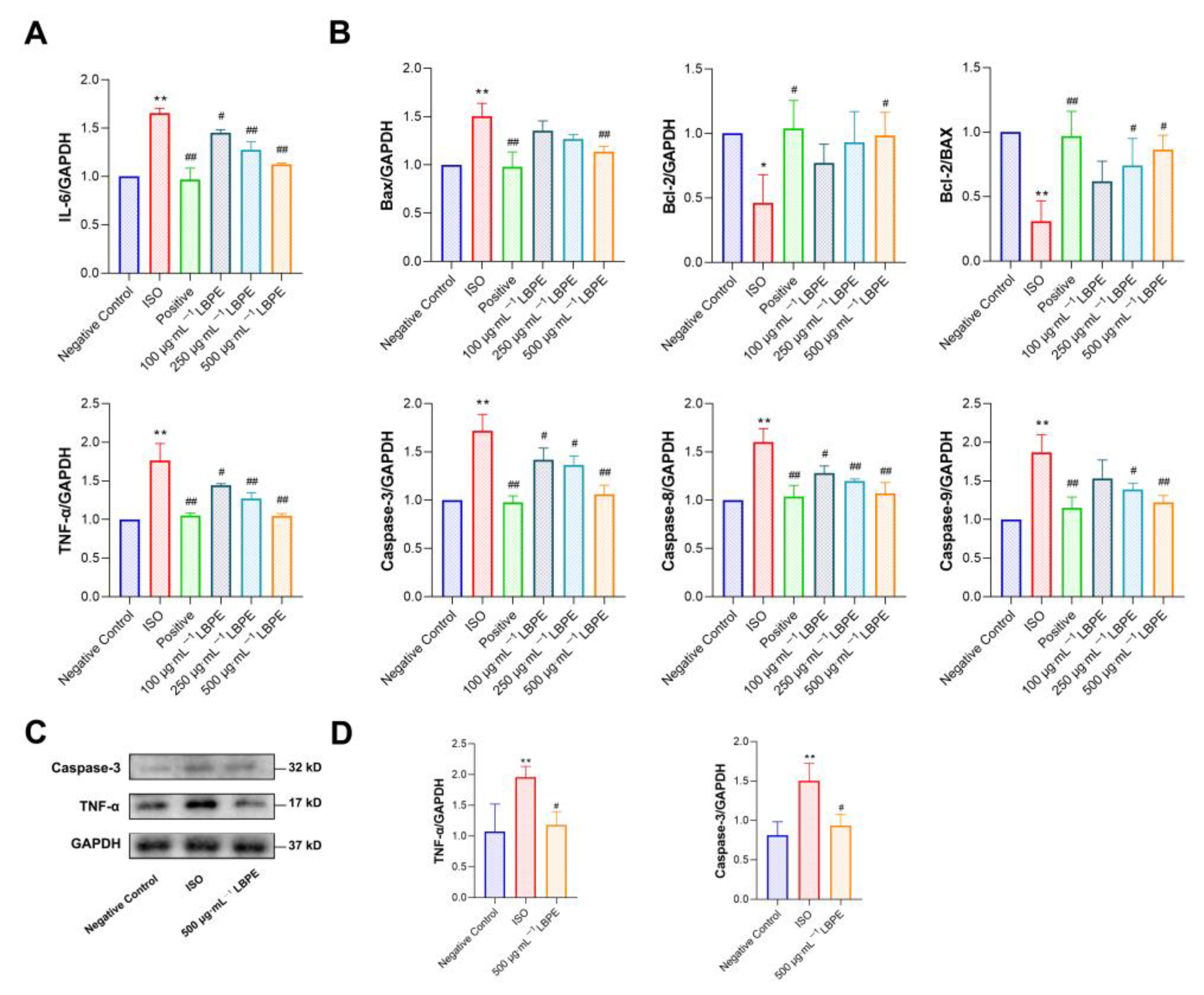 Antioxidants 12 00088 g004 Antioxidants 12 00088 g004