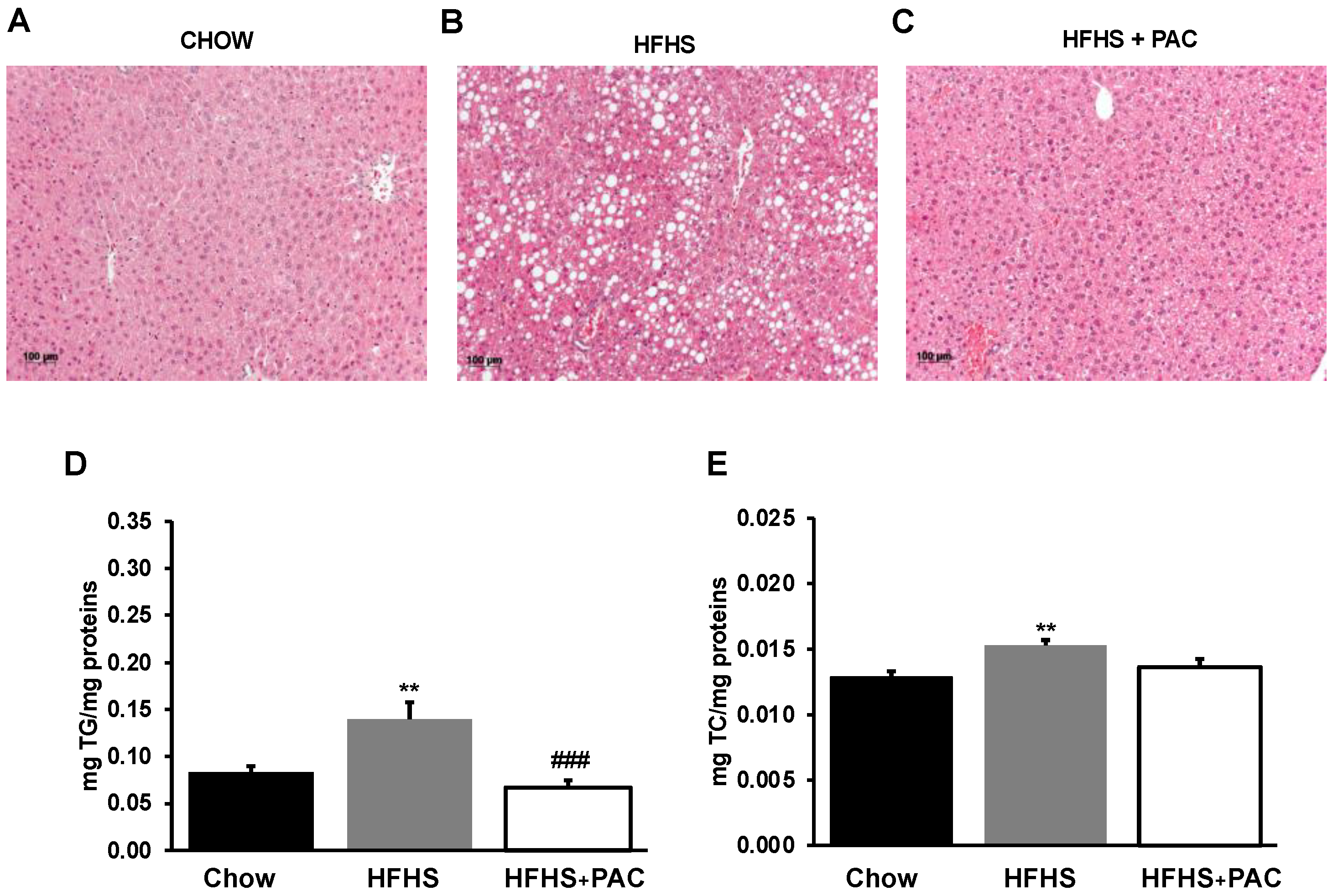 Antioxidants 12 00090 g005 Antioxidants 12 00090 g005