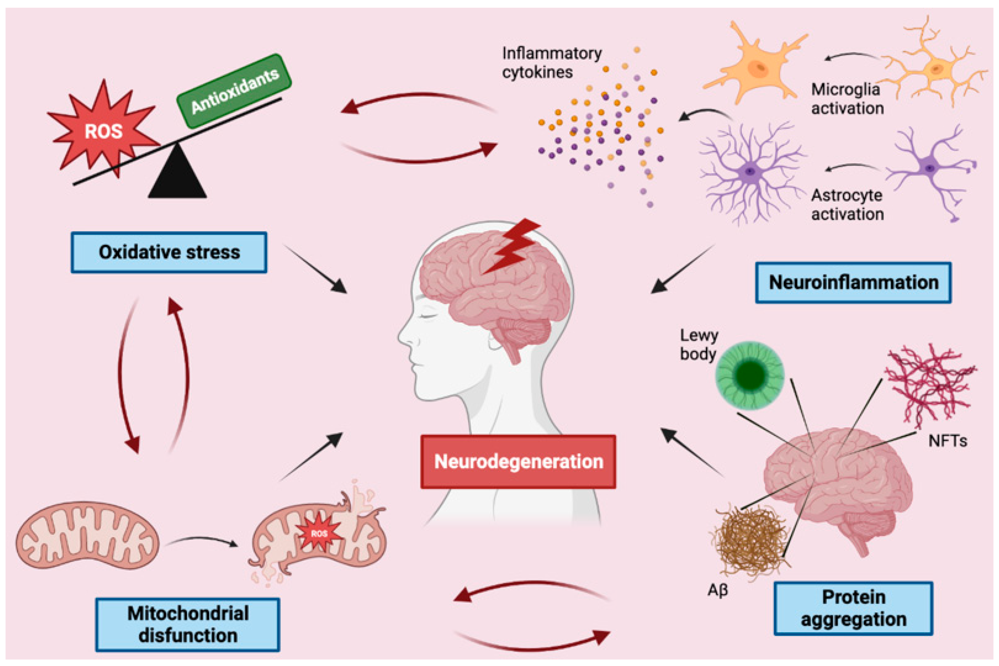 Antioxidants | Free Full-Text | Mechanisms Underlying Neurodegenerative  Disorders and Potential Neuroprotective Activity of Agrifood By-Products