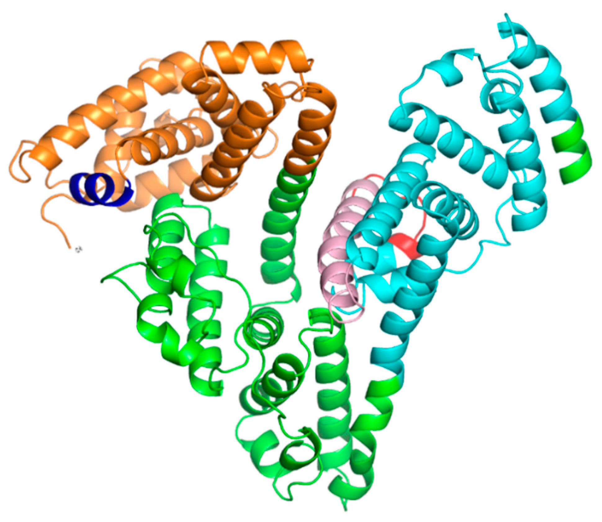 Antioxidants 12 00096 g001 Antioxidants 12 00096 g001