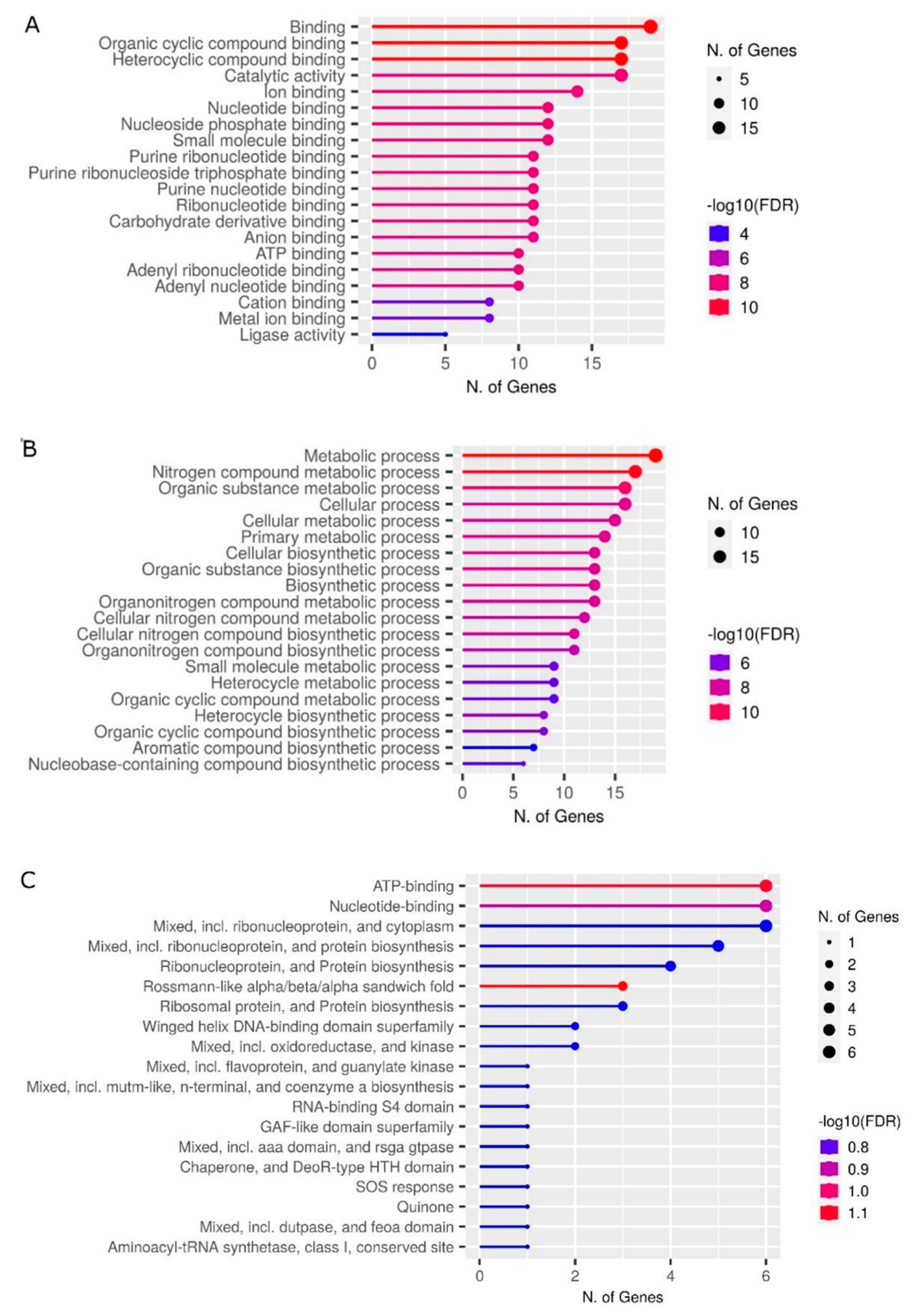 Antioxidants 12 00096 g005 Antioxidants 12 00096 g005