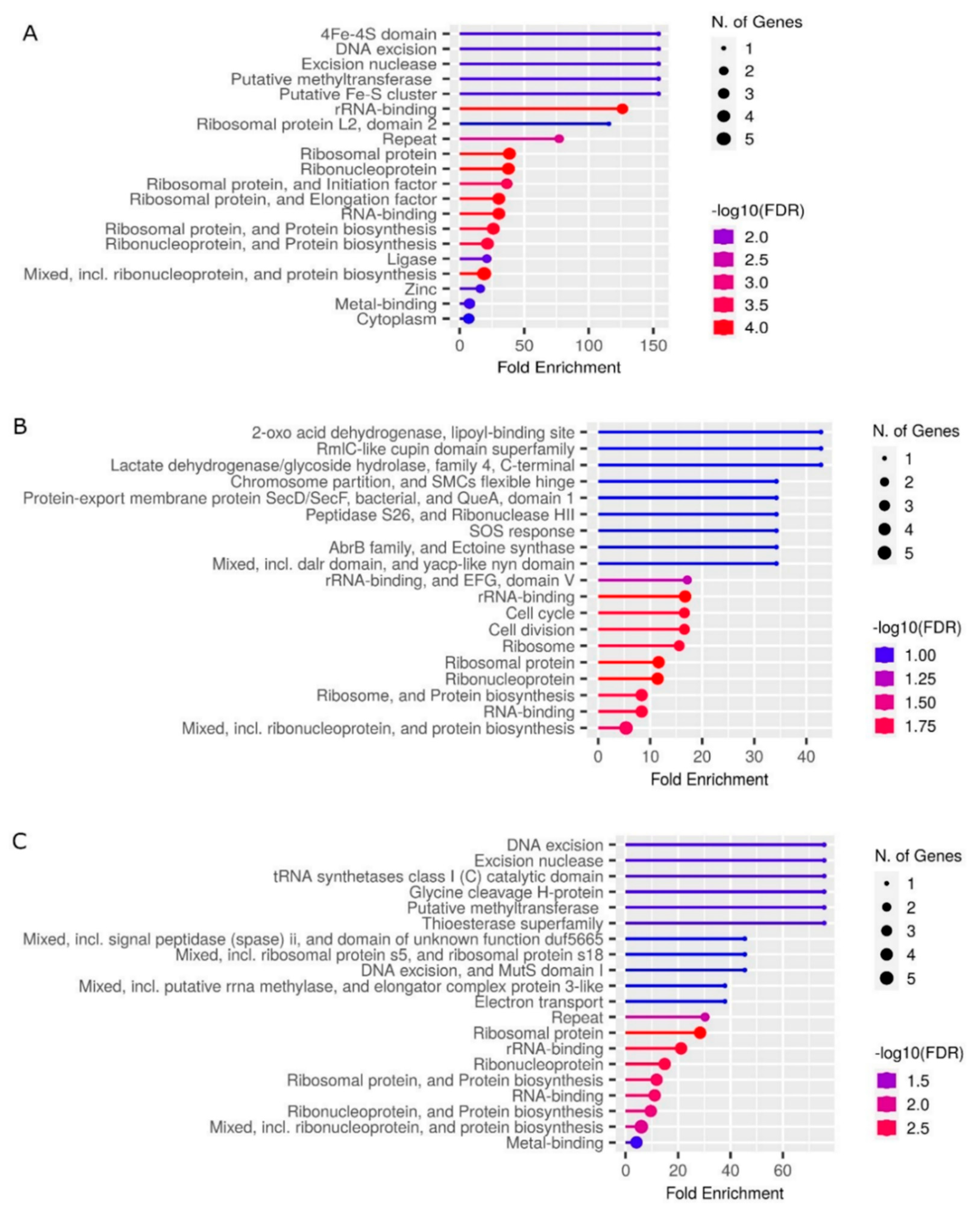 Antioxidants 12 00096 g006 Antioxidants 12 00096 g006