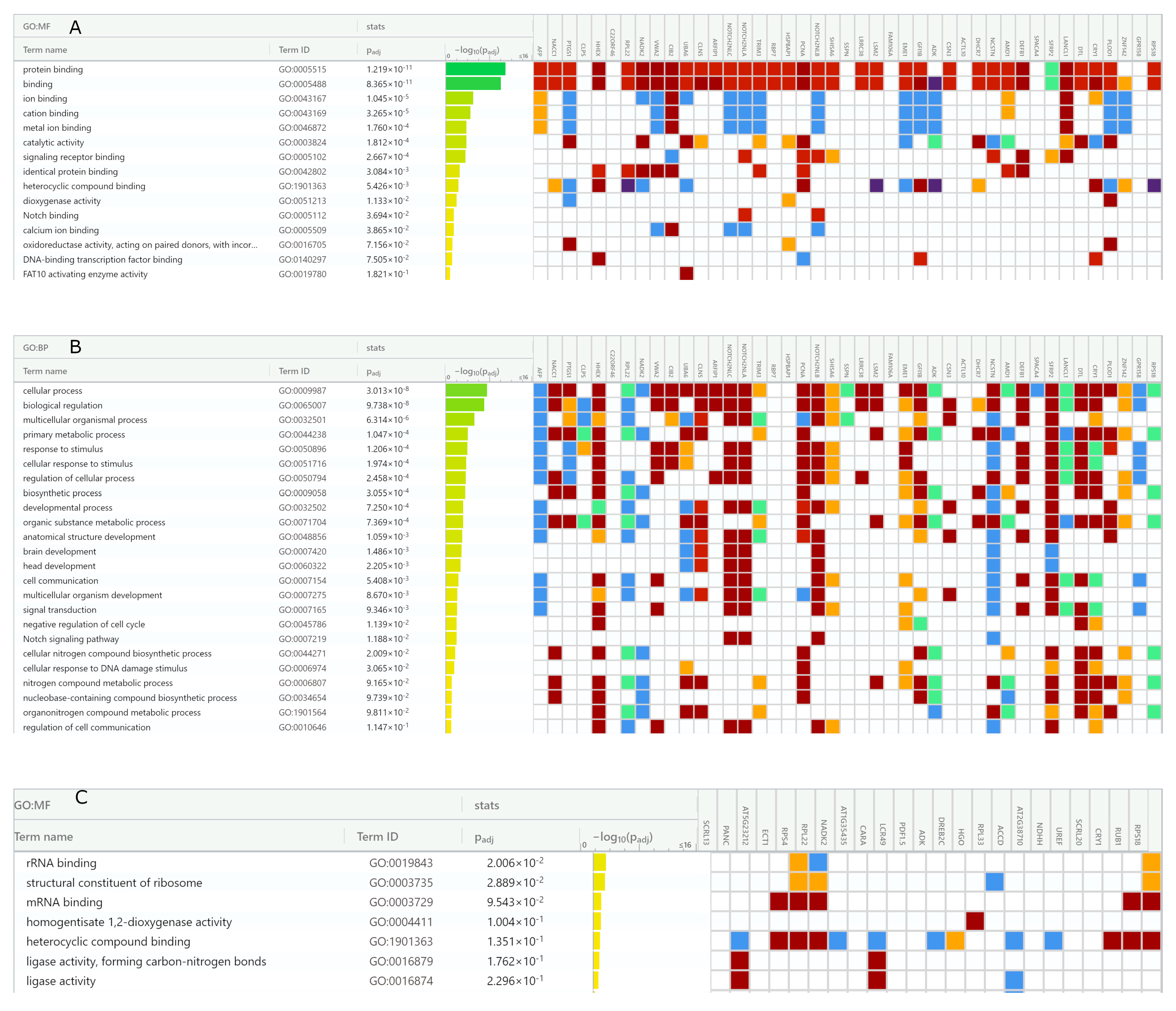 Antioxidants 12 00096 g008a Antioxidants 12 00096 g008a