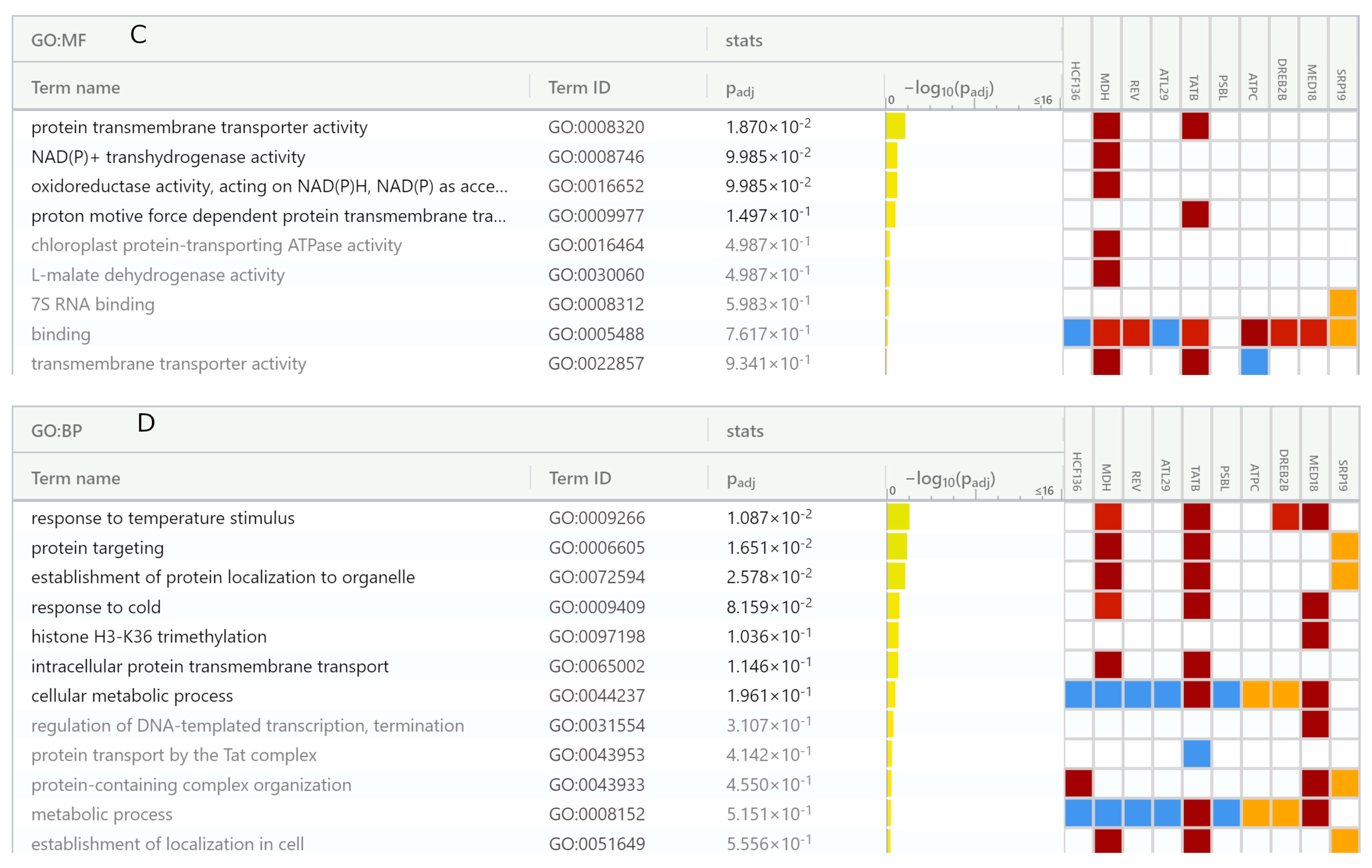 Antioxidants 12 00096 g009b Antioxidants 12 00096 g009b