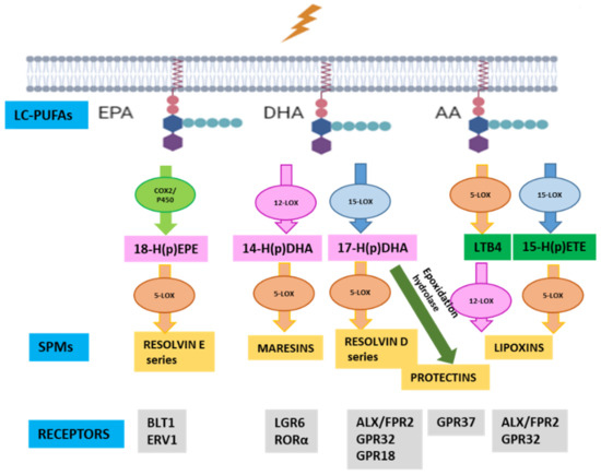 mk Frontiers | Predictive value of circulating inflammatory