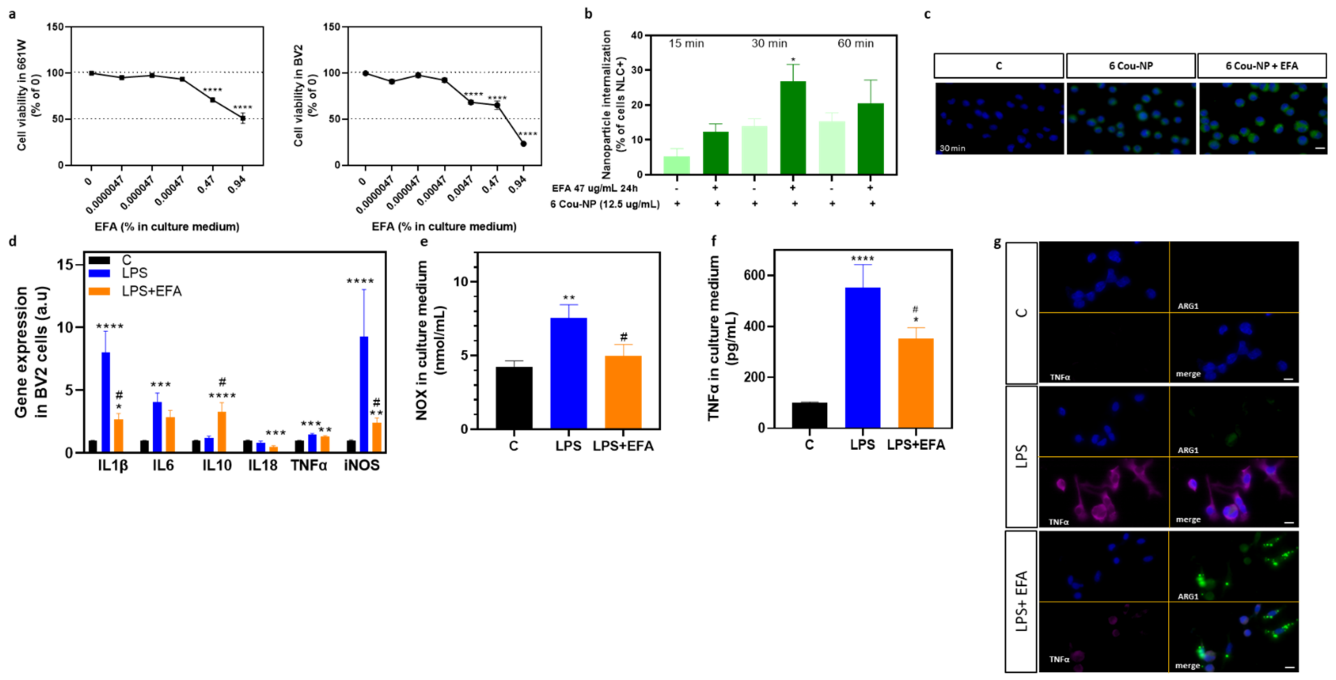 Antioxidants 12 00098 g004 Antioxidants 12 00098 g004