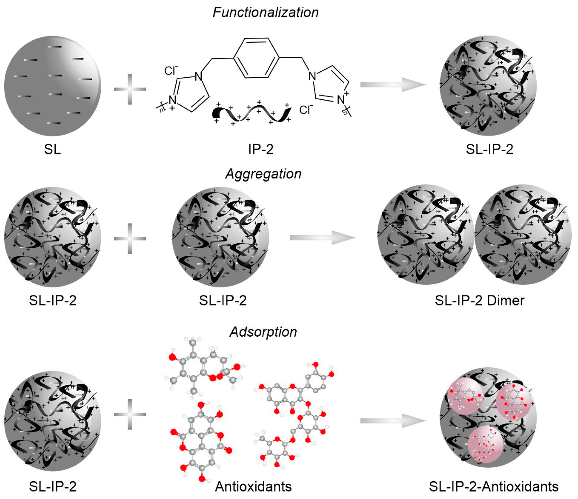 Antioxidants 12 00099 sch001 Antioxidants 12 00099 sch001