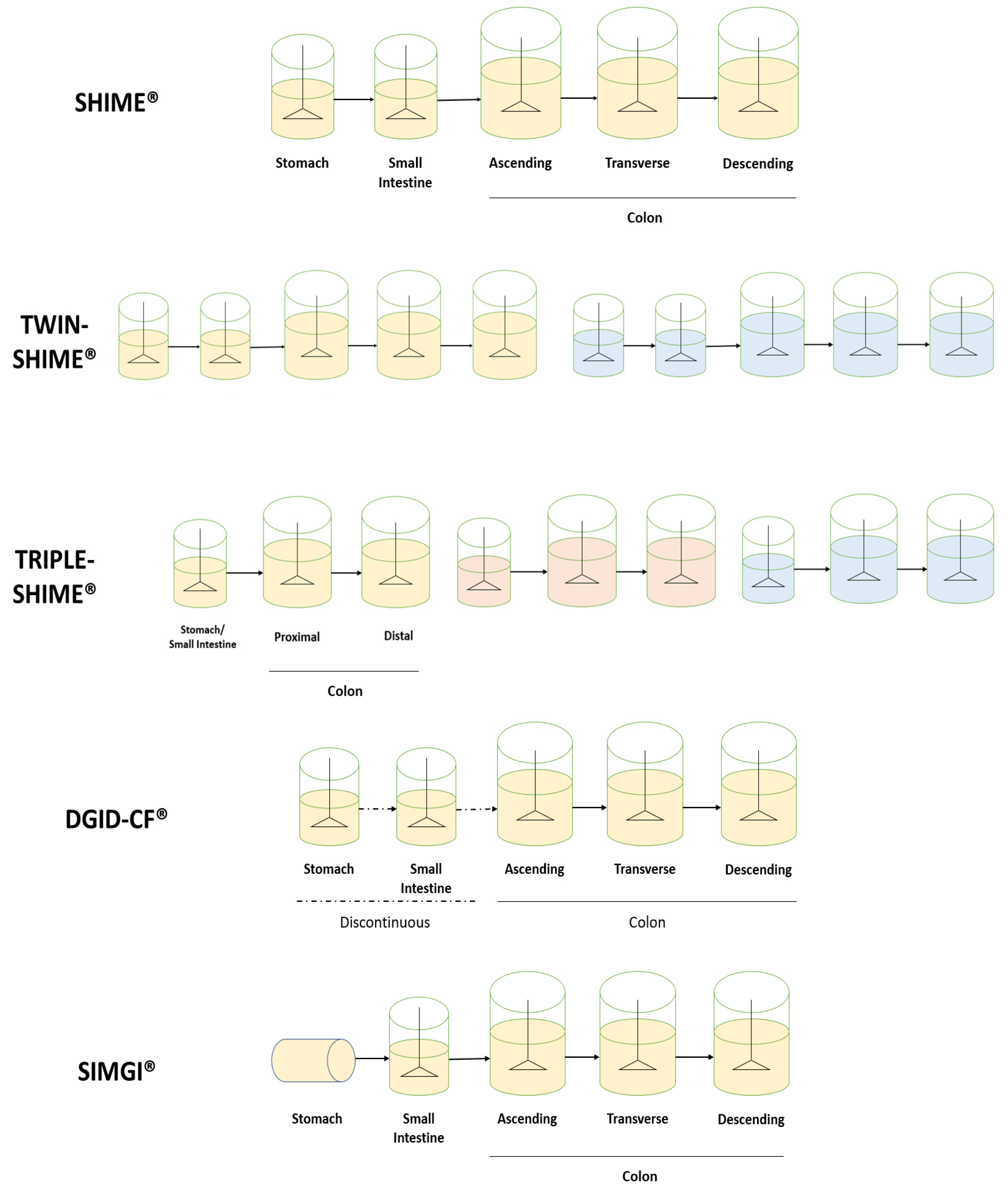 Antioxidants 12 00101 g002 Antioxidants 12 00101 g002