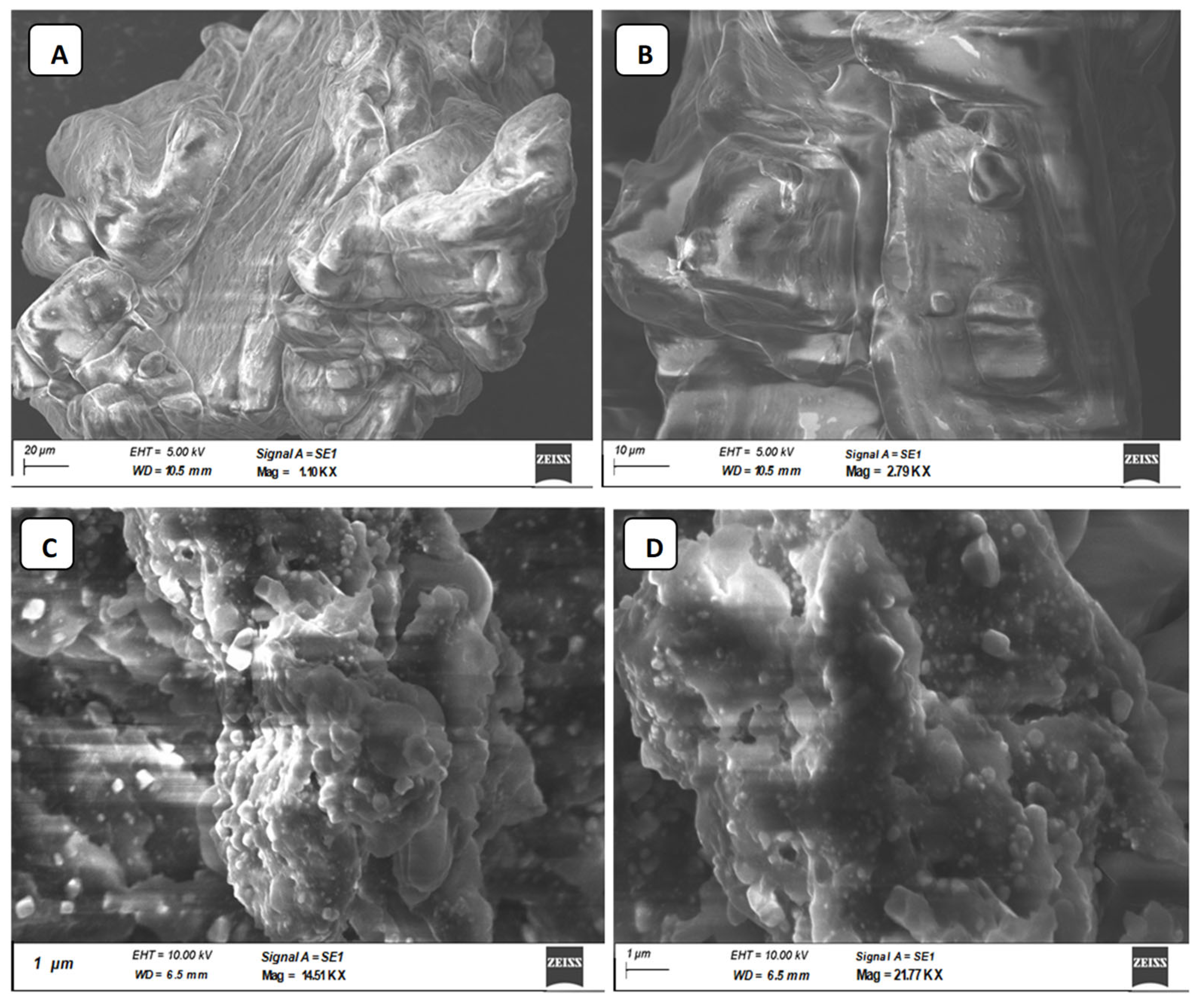 Antioxidants 12 00105 g005 Antioxidants 12 00105 g005