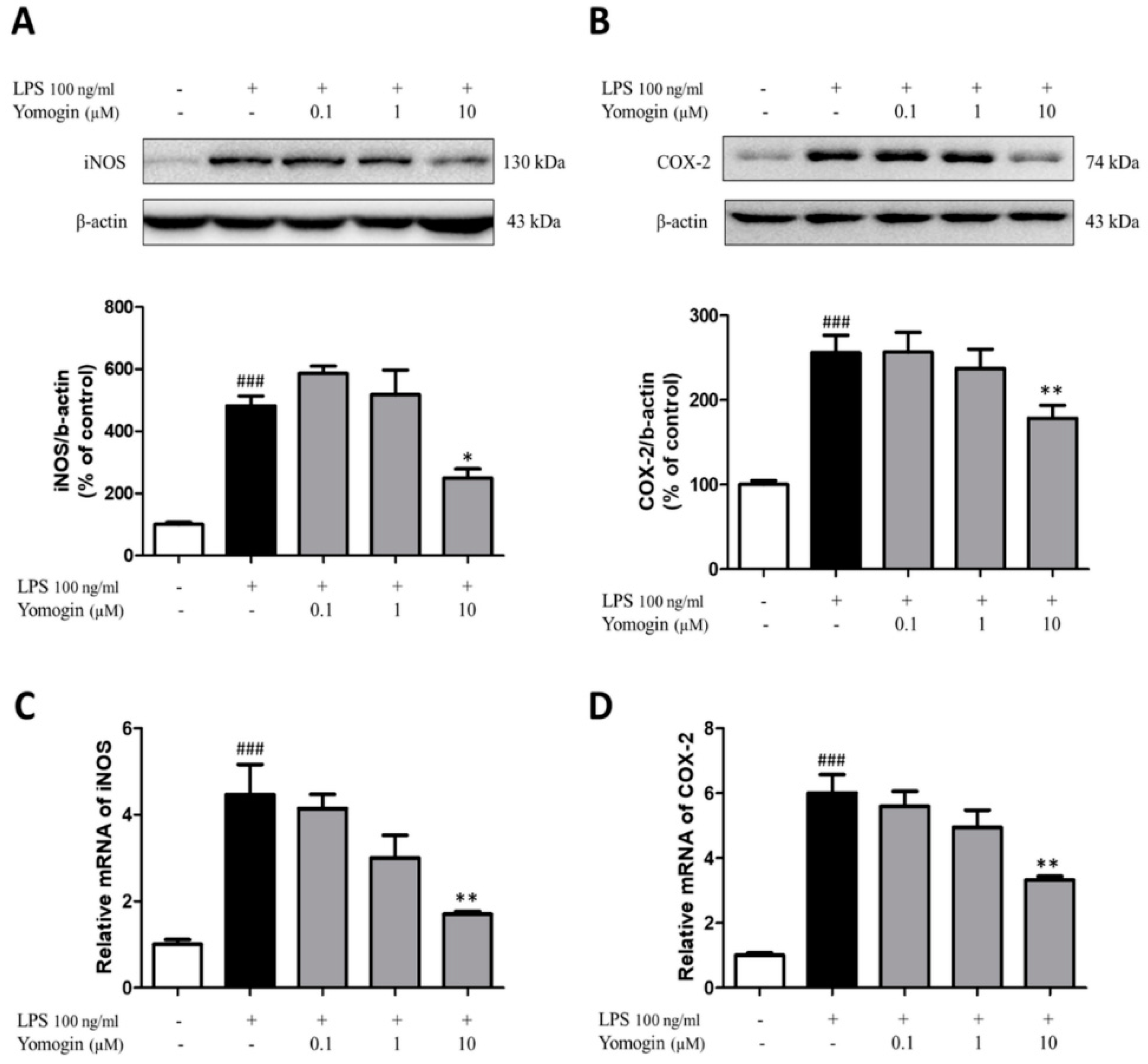 Antioxidants 12 00106 g004