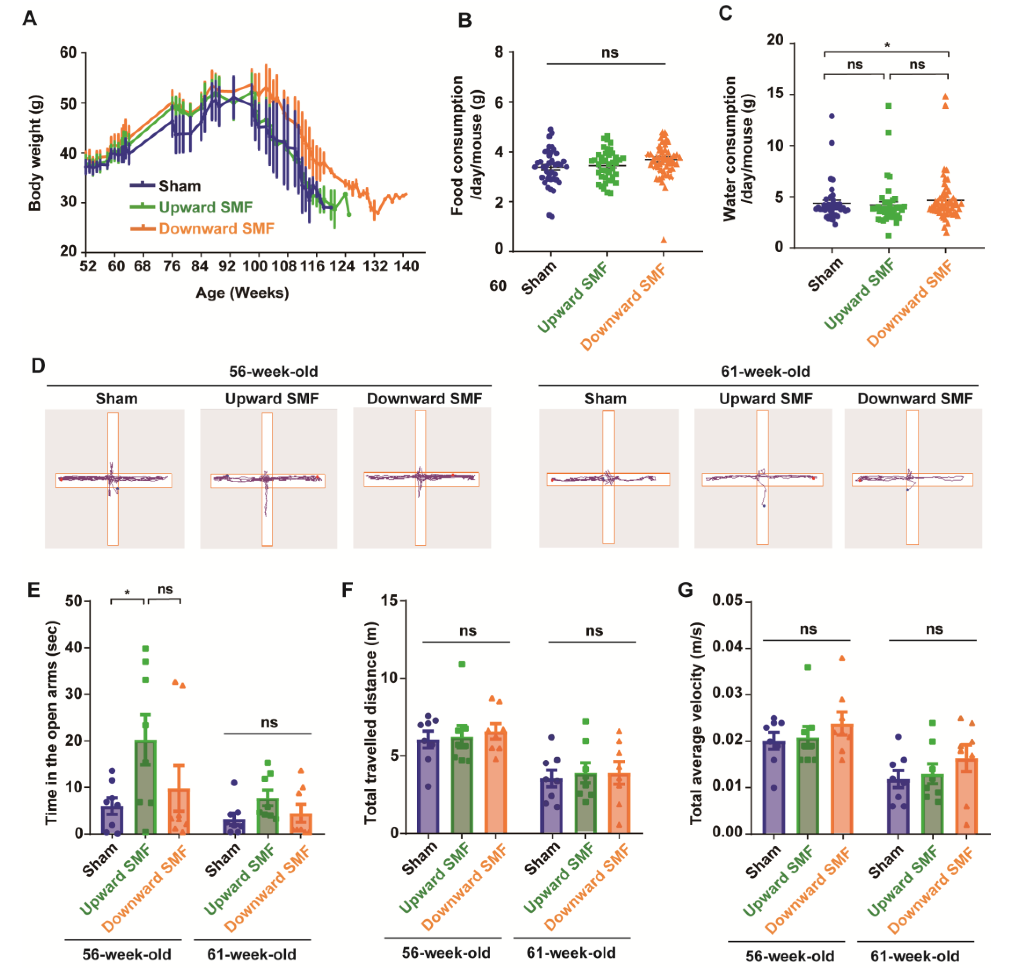 Antioxidants 12 00108 g002