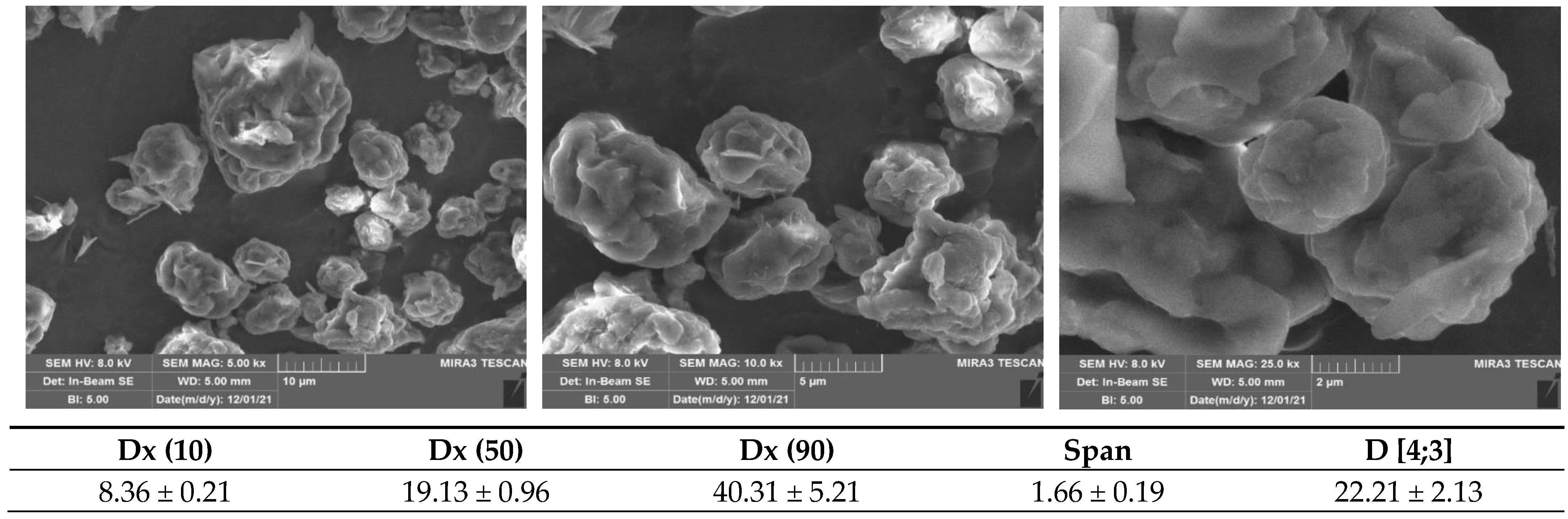 Antioxidants 12 00112 g001 Antioxidants 12 00112 g001