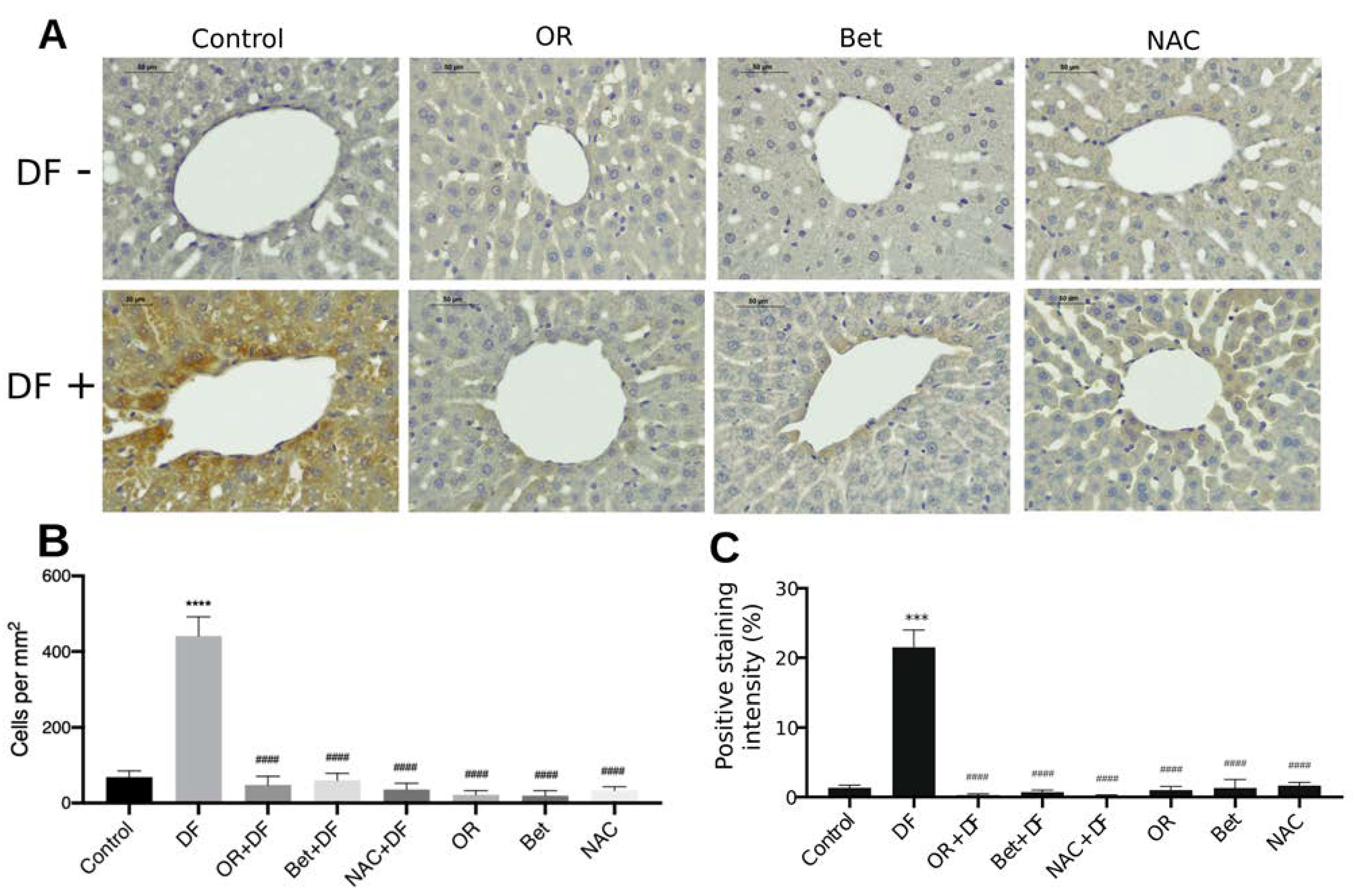 Antioxidants Free FullText Molecular and Antioxidant