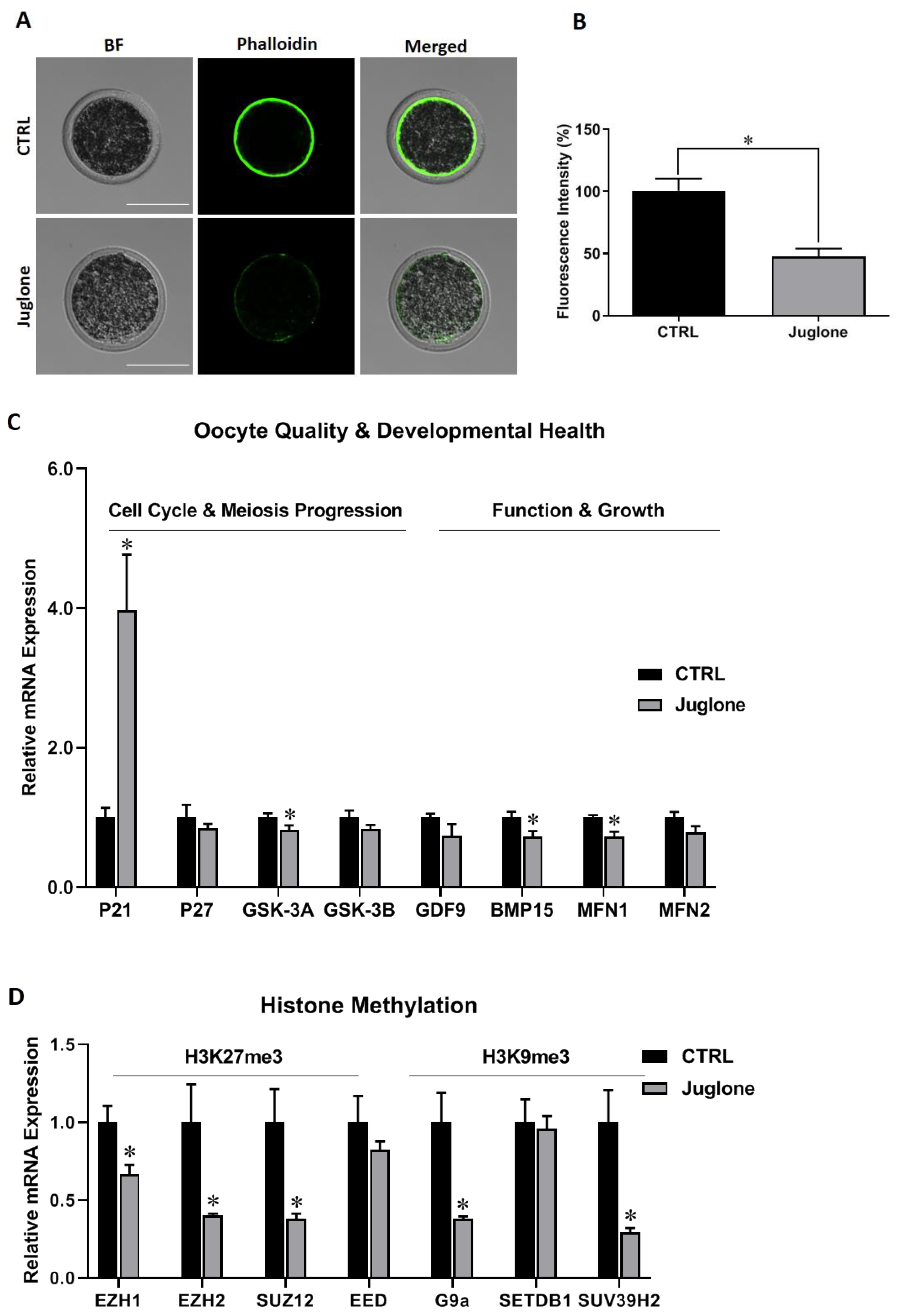Antioxidants 12 00114 g001
