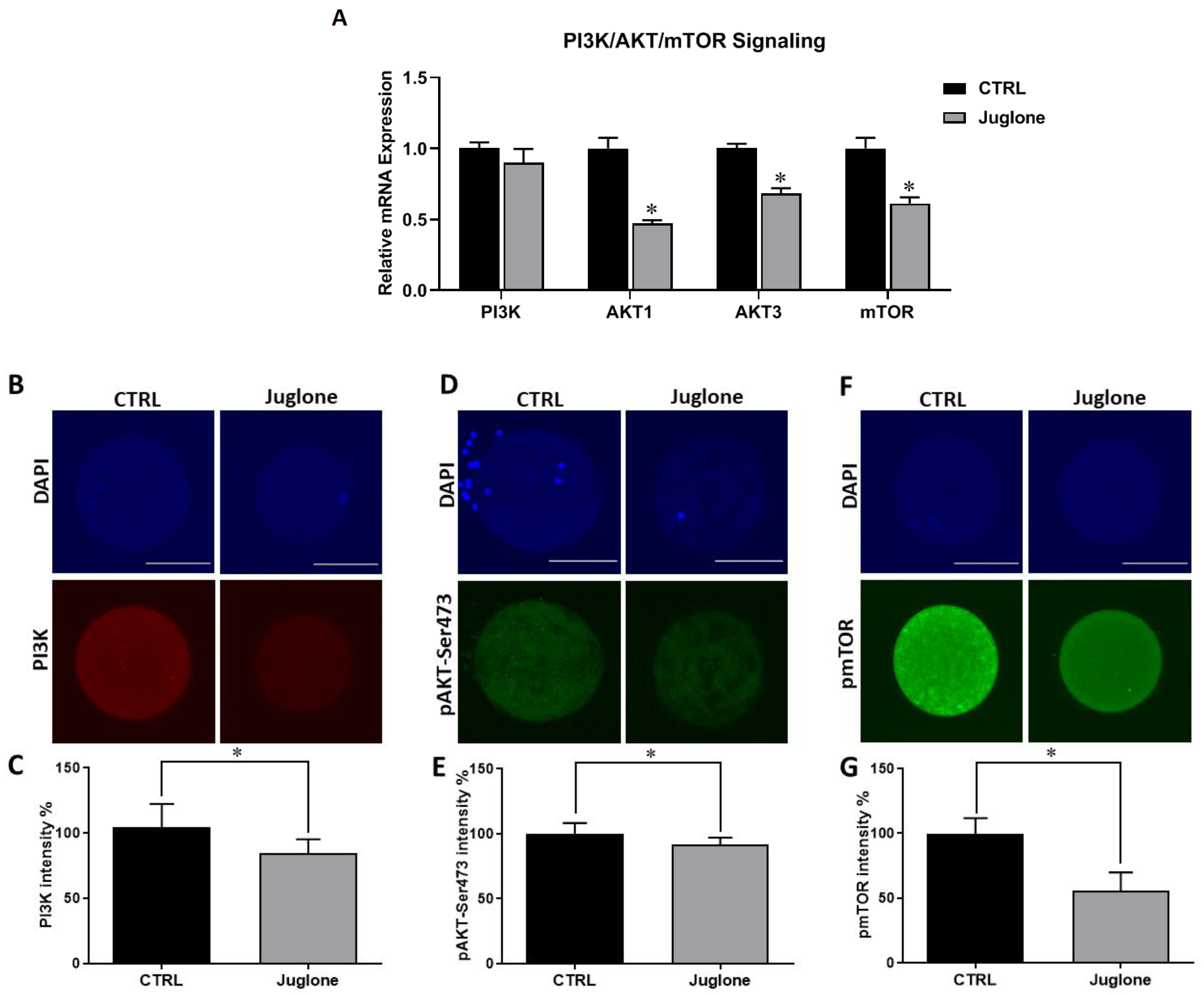 Antioxidants 12 00114 g002